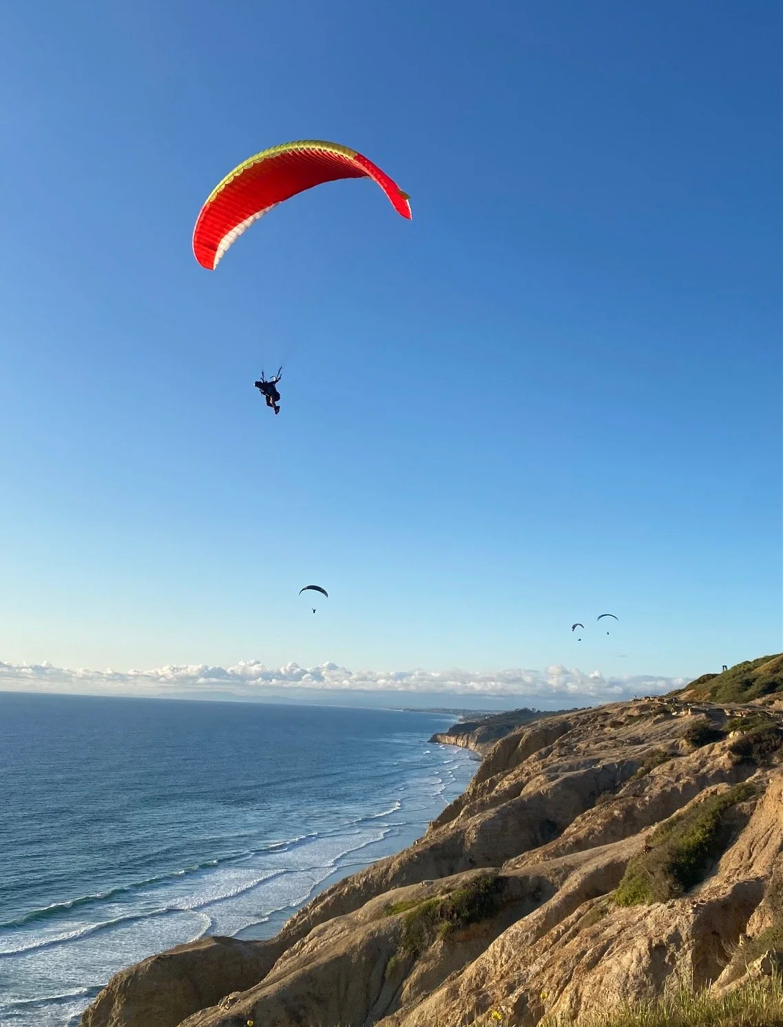 Multiple paragliders flying over a rocky coastline with the ocean in the background on a clear day.