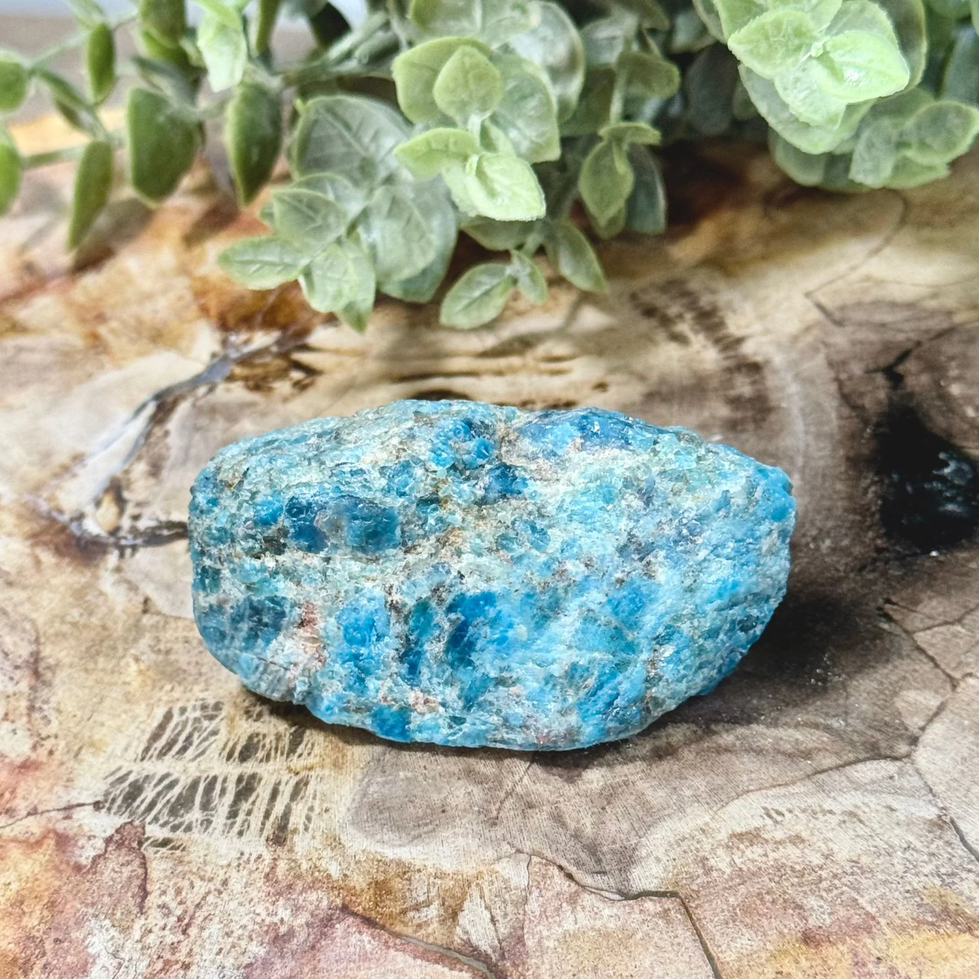 Natural Blue Apatite | Motivation & Clarity
