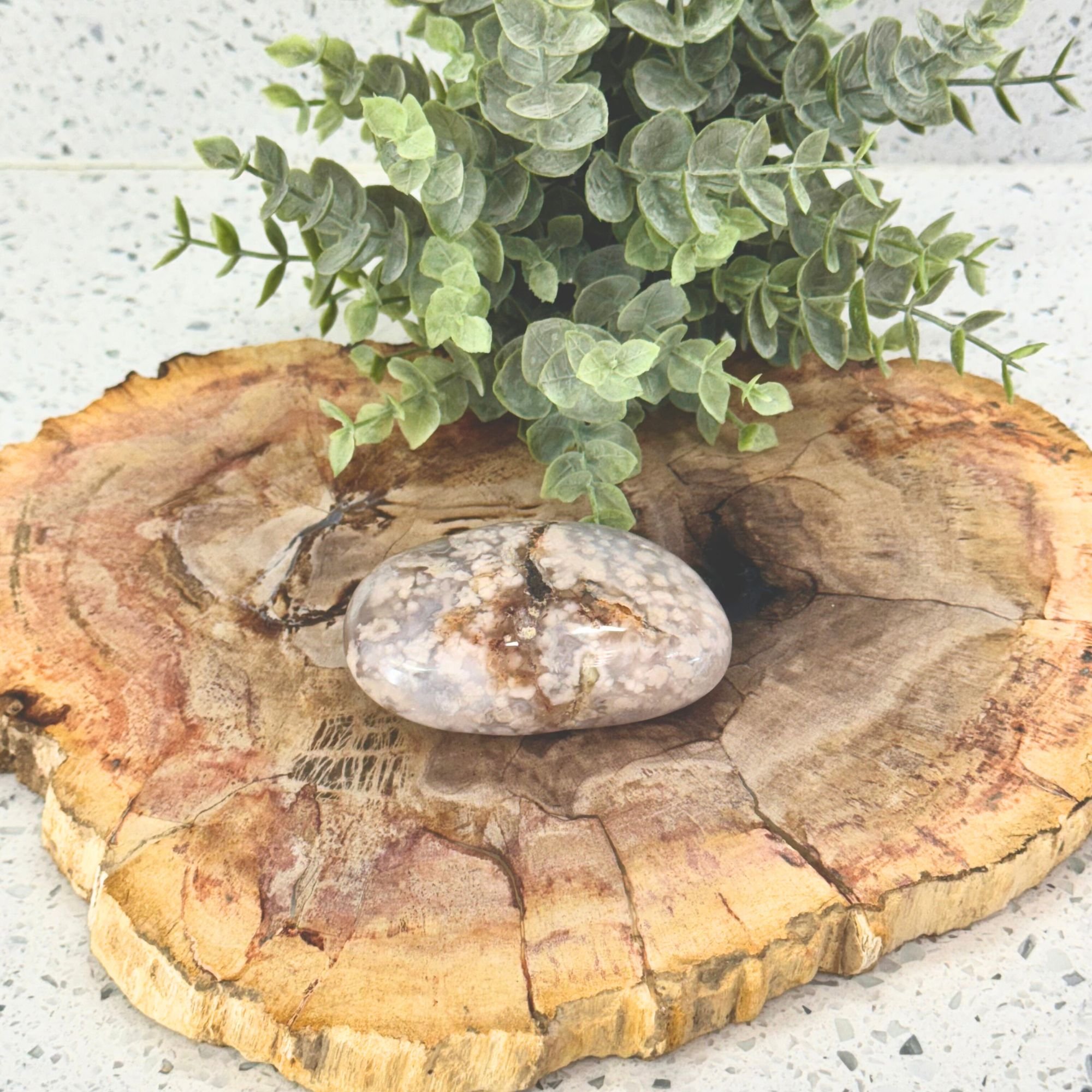 Flower Agate Palm Stone XL | Growth & Transformation Crystal | Large Healing Stone