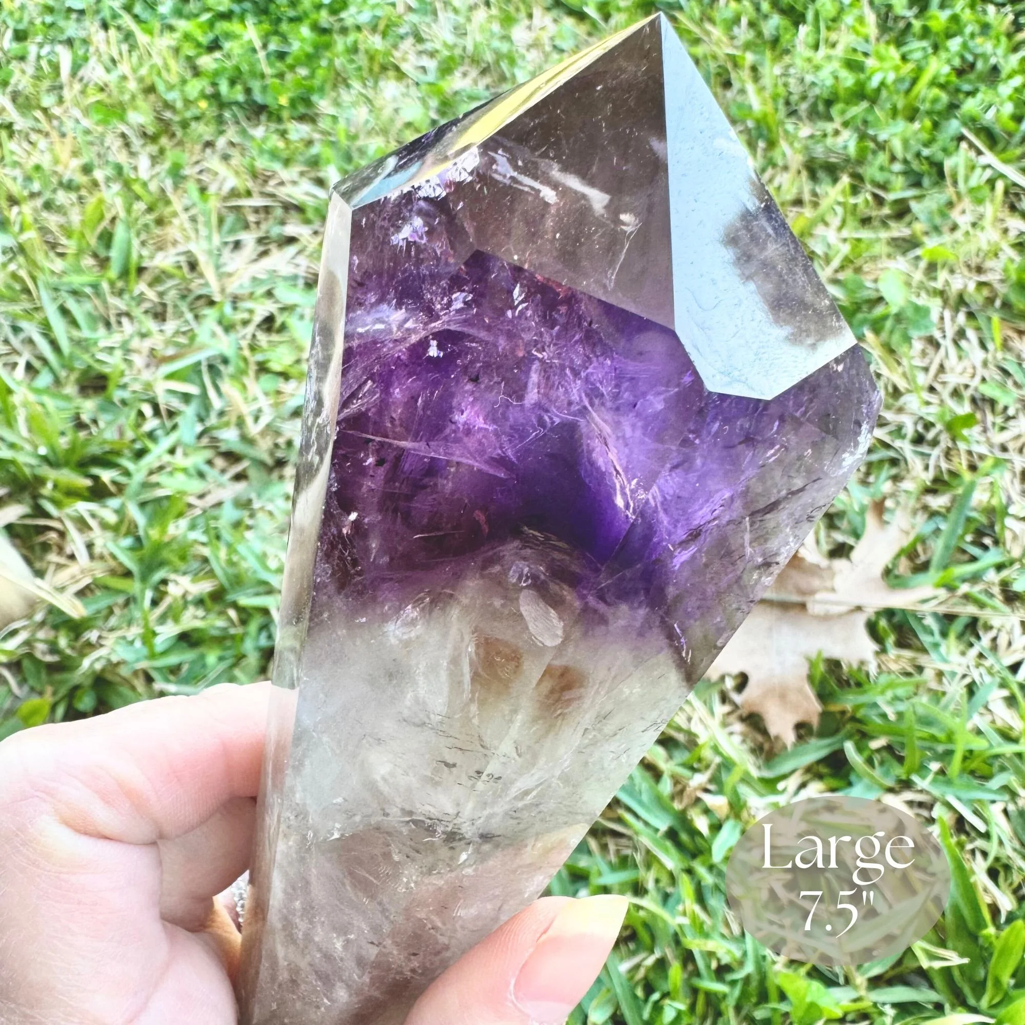 Lg 7.5_ Detail Hold 1.jpg