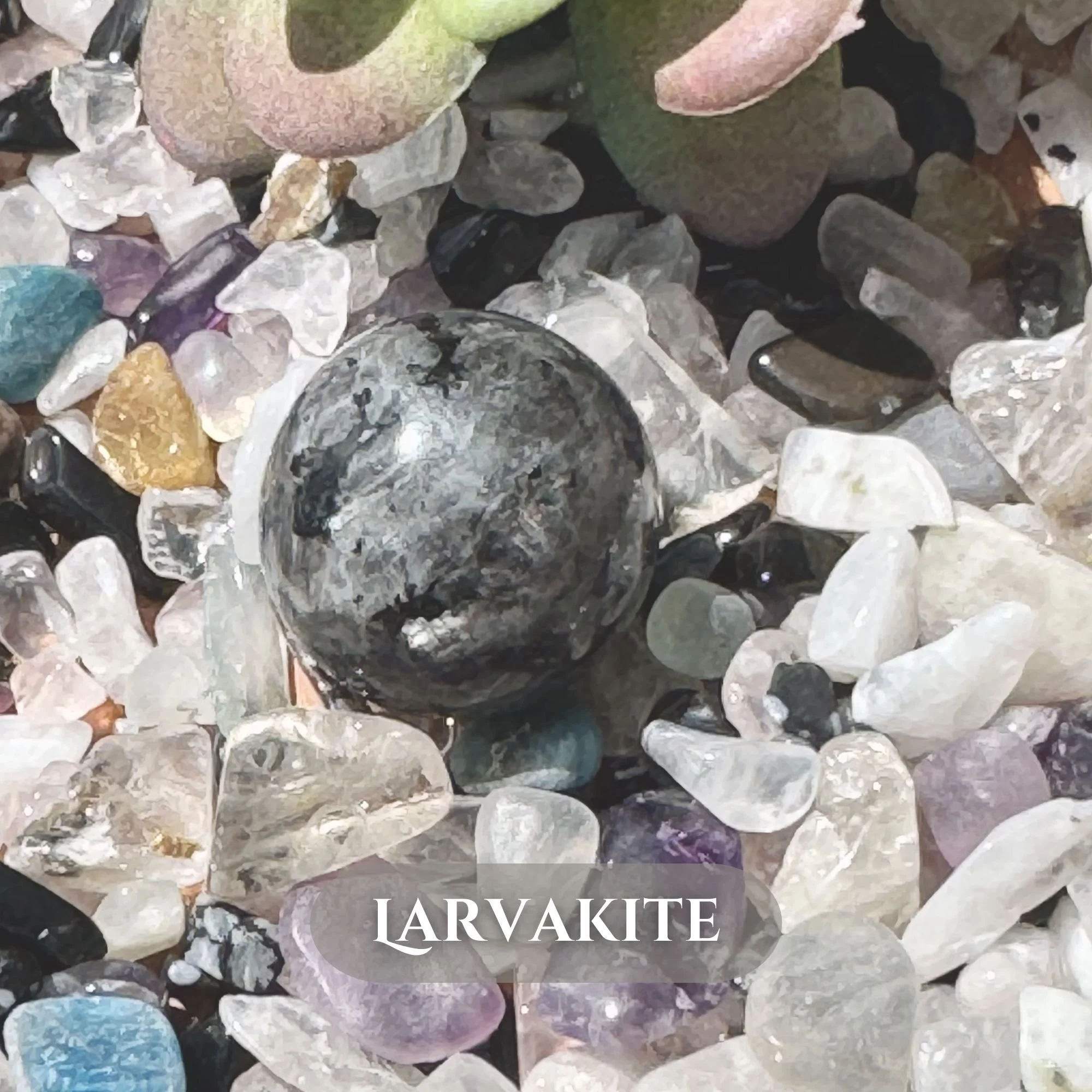 Larvakite.jpg