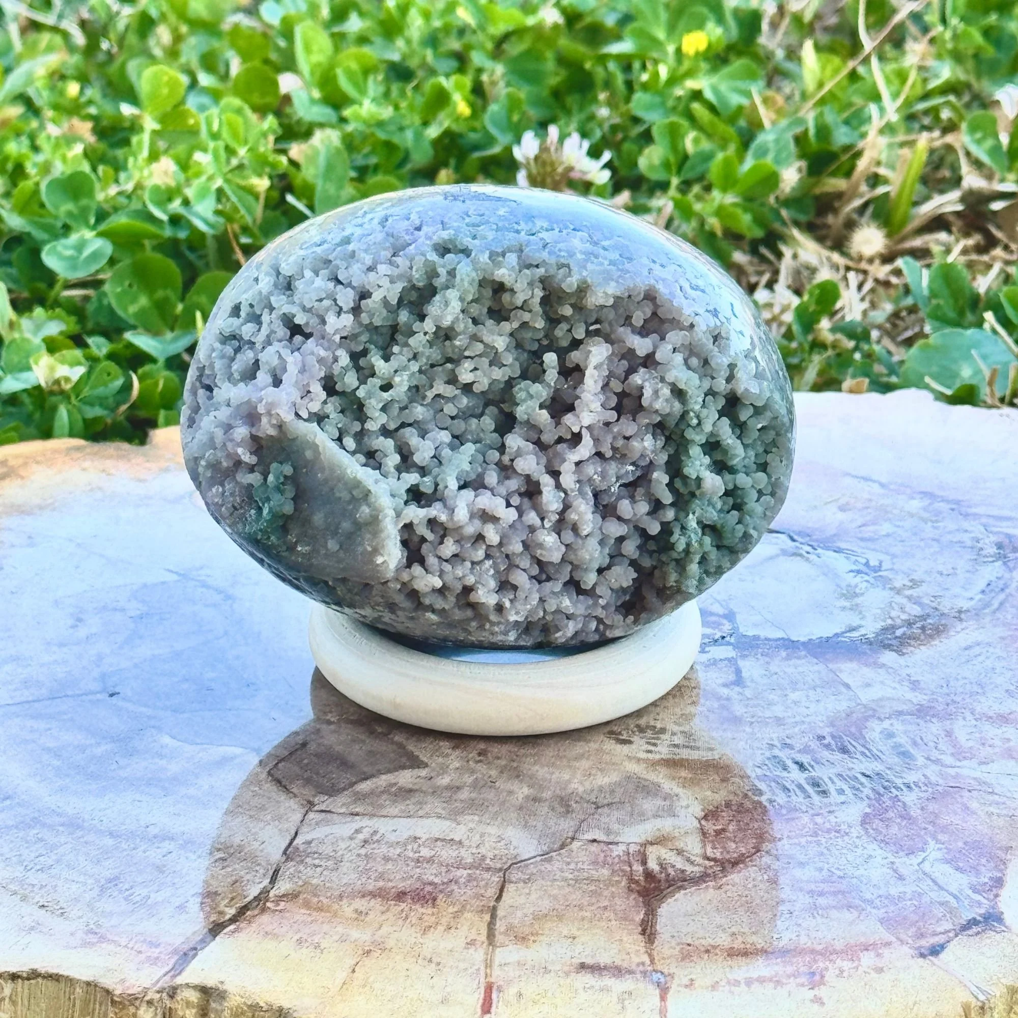 Bi-Color Grape Agate Egg – Natural Botryoidal Crystal Carving