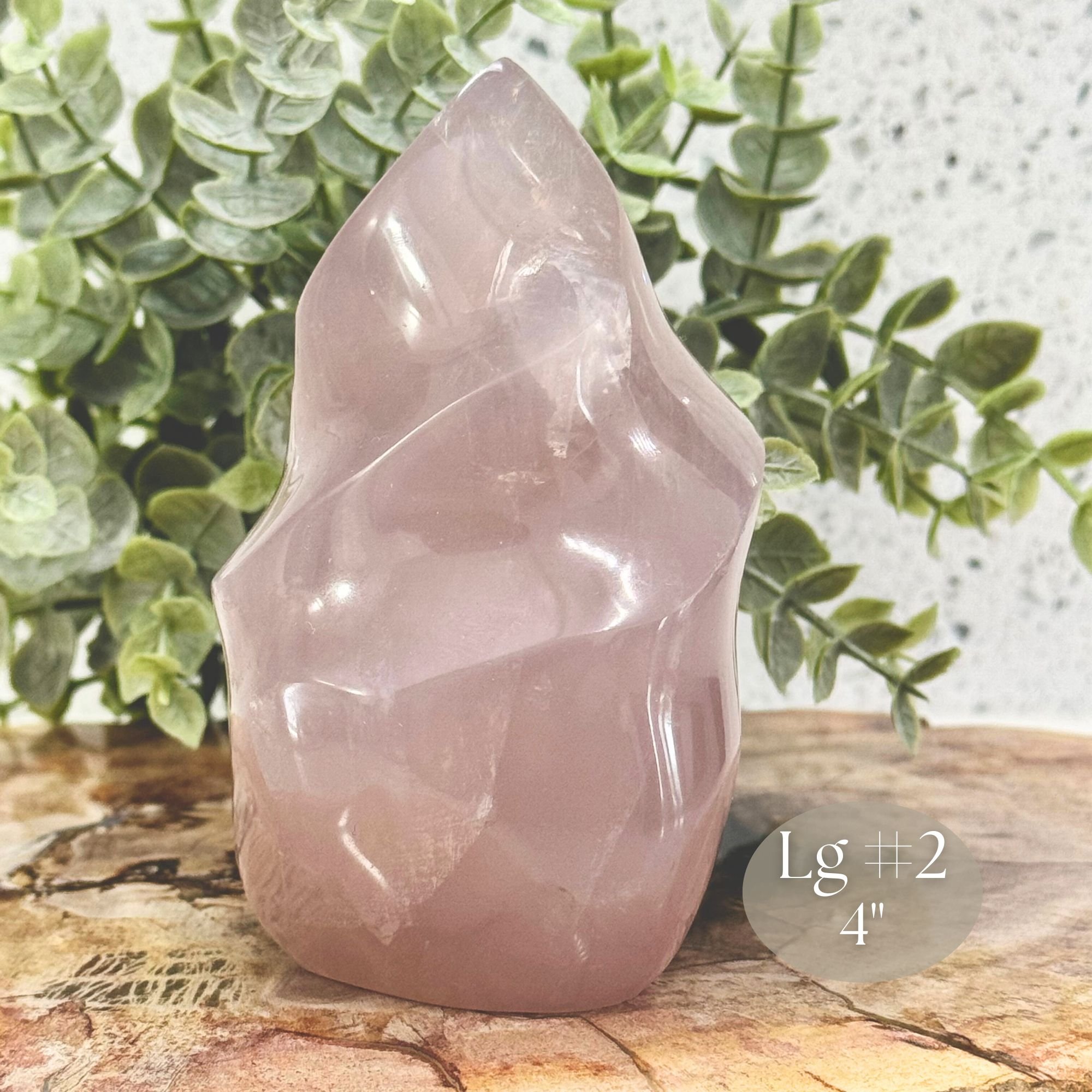 Lg #2-4_ Side Close up.jpg