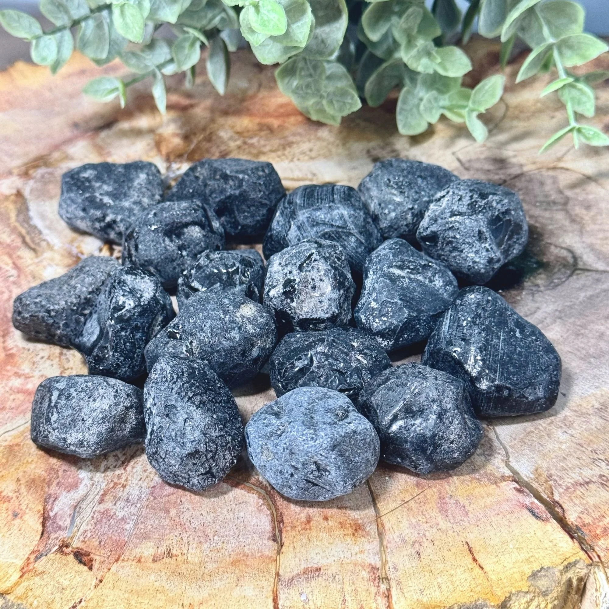 Natural Rough Apache Tear Obsidian | Raw Protection Stone