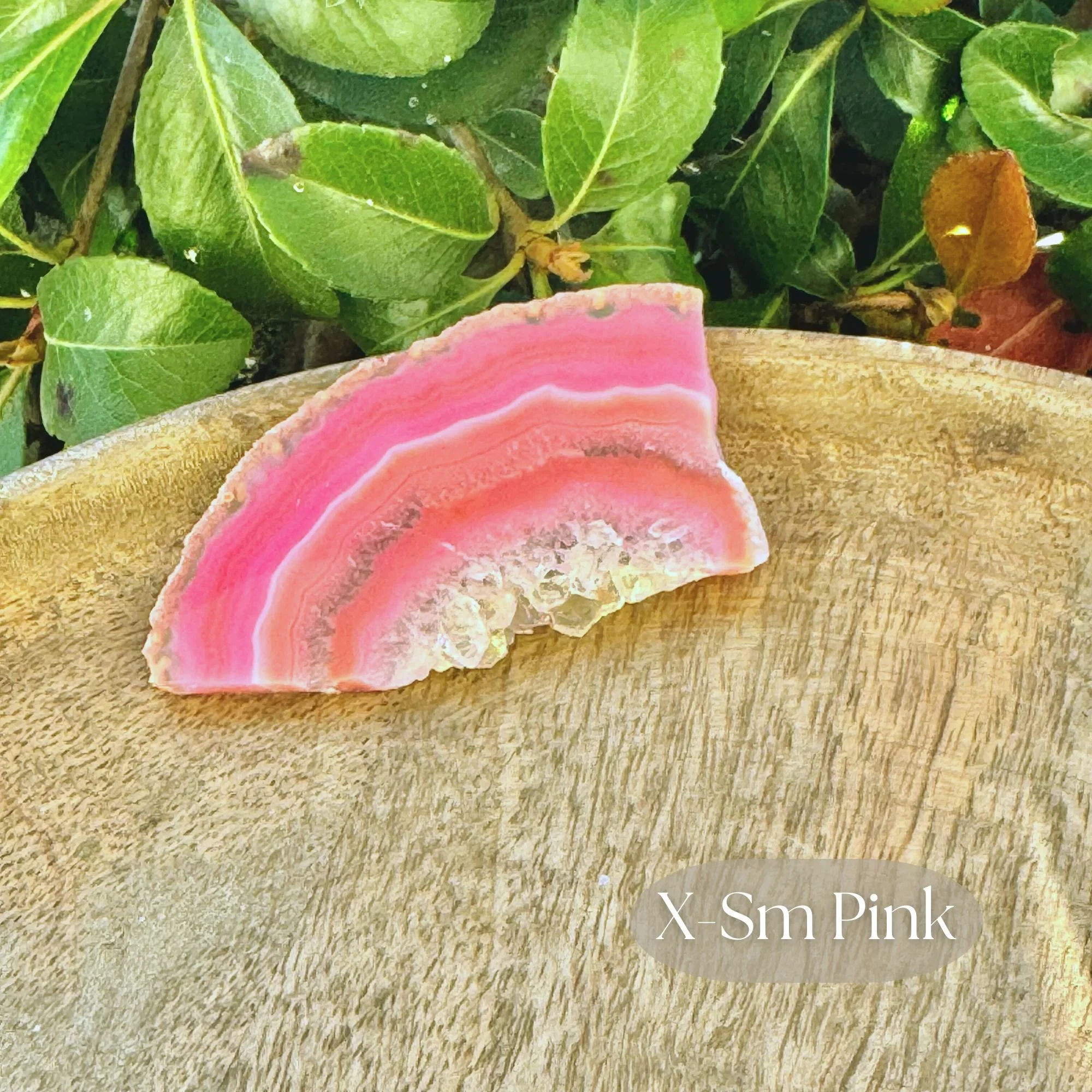 X-Small Pink.jpg