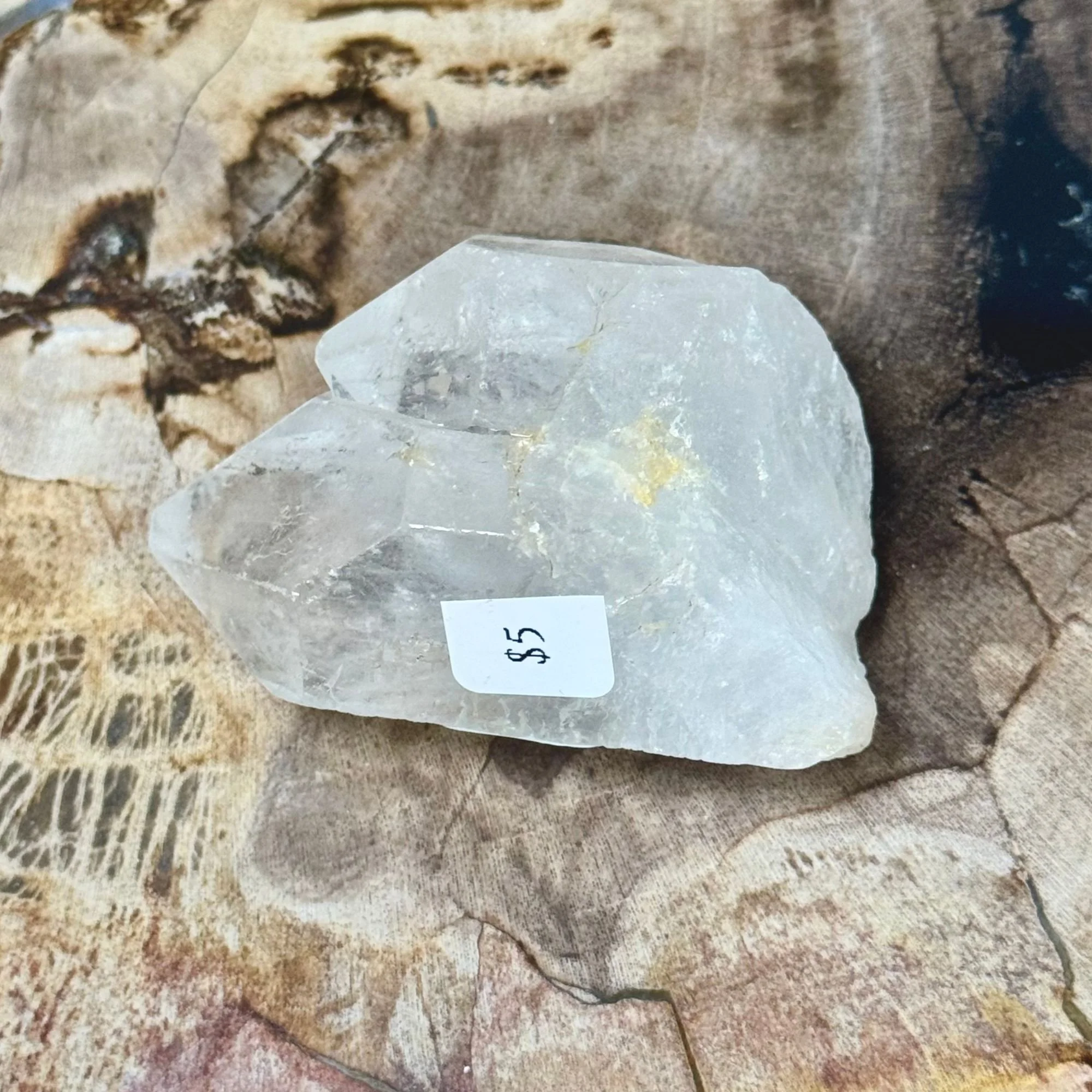 A 2.75_-76g Close up.jpg