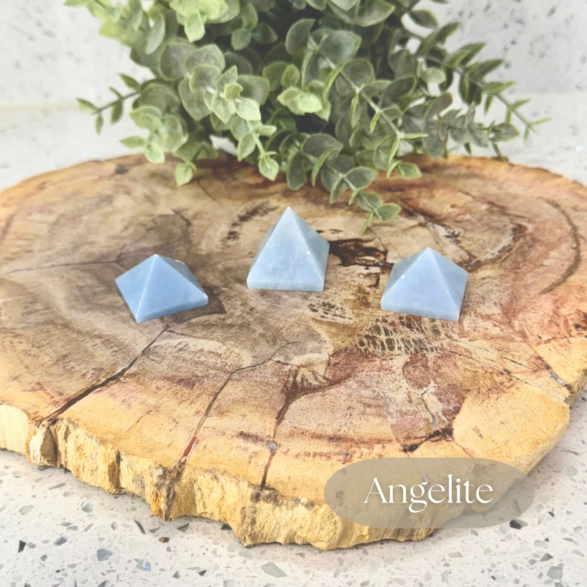 Three Angelite Pyramid carvings in a light blue tone displayed on a petrified wood slab on a white countertop with a faux plant in the background