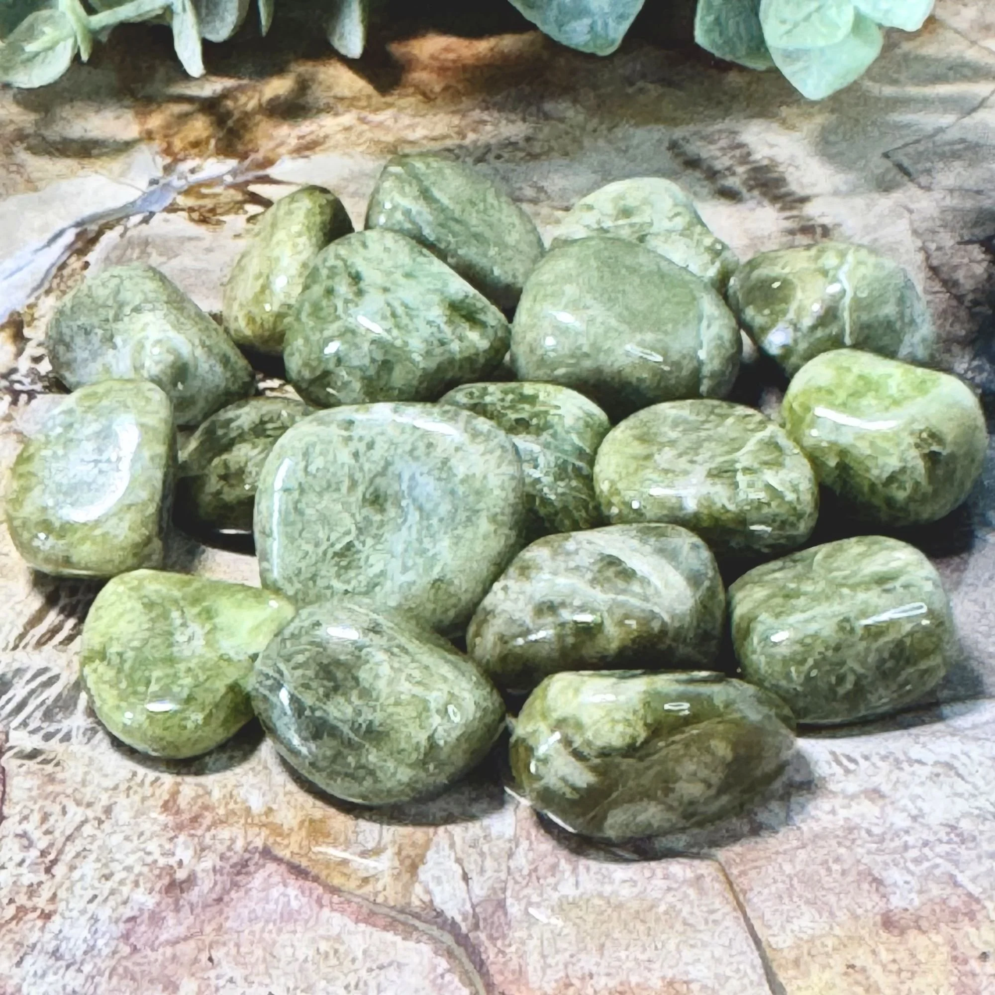 Close Up.jpg