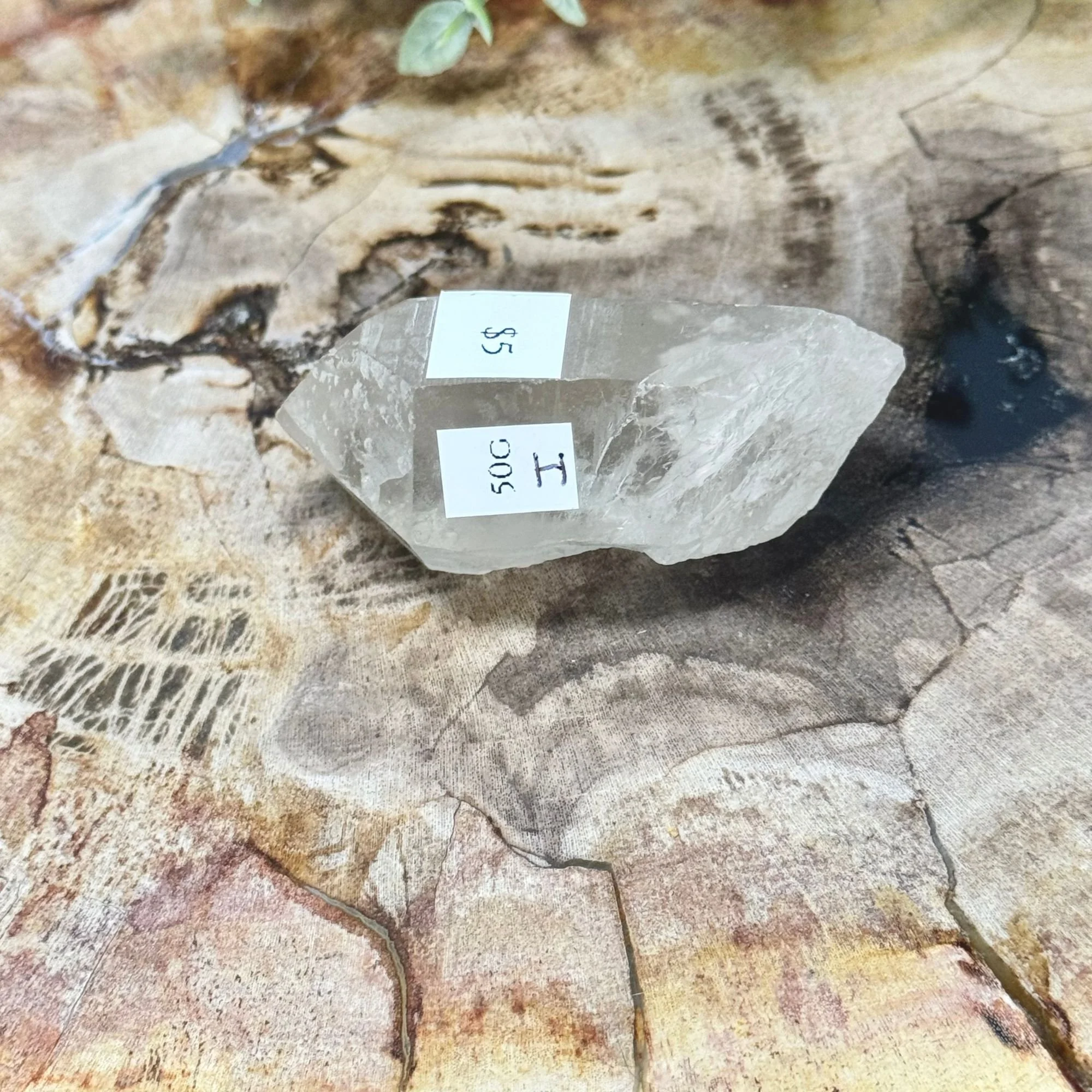 I 2.25_-50g.jpg