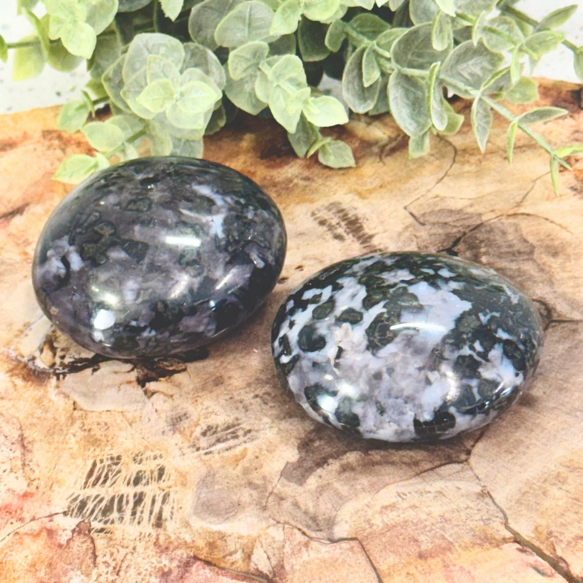 Merlinite Palm Stone – Magic, Intuition & Shadow Work