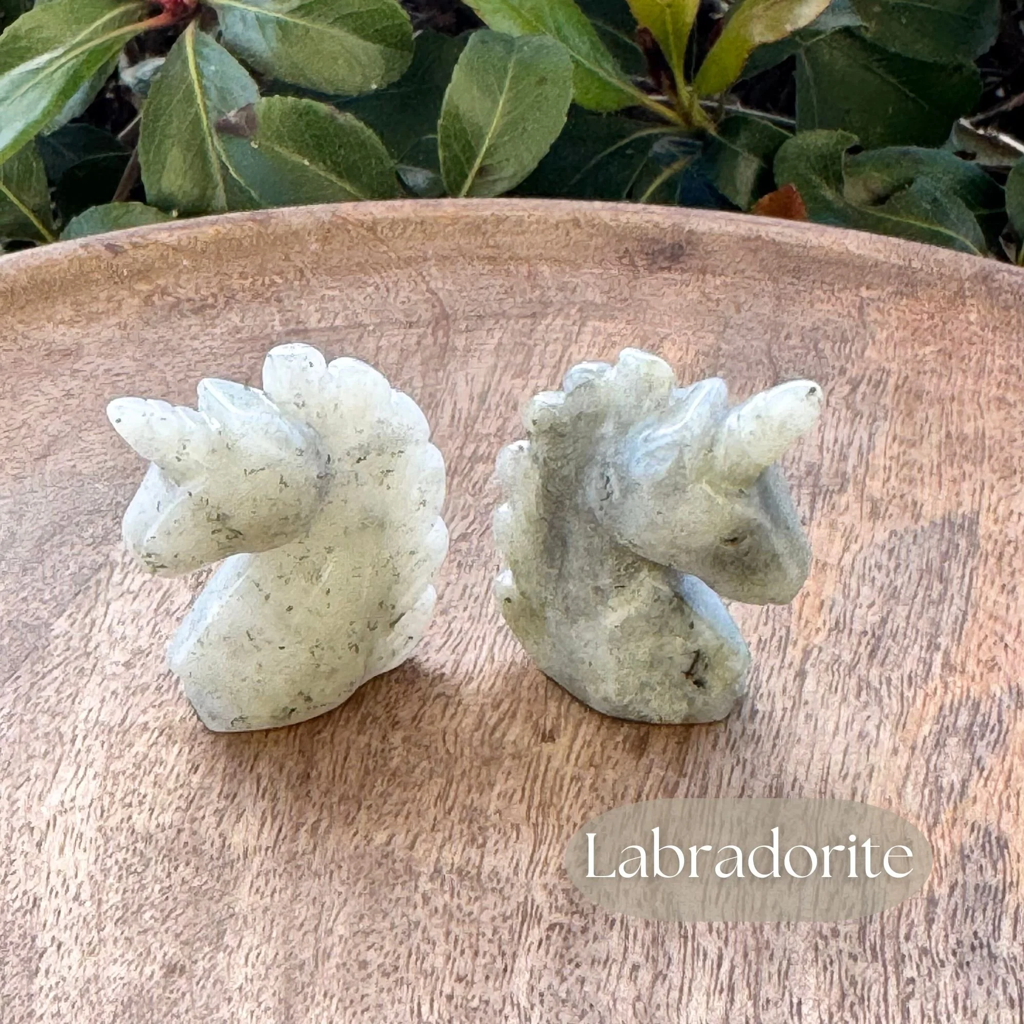 Close up view of a Labradorite Unicorn Head Carving on wooden dish with green bush in the background