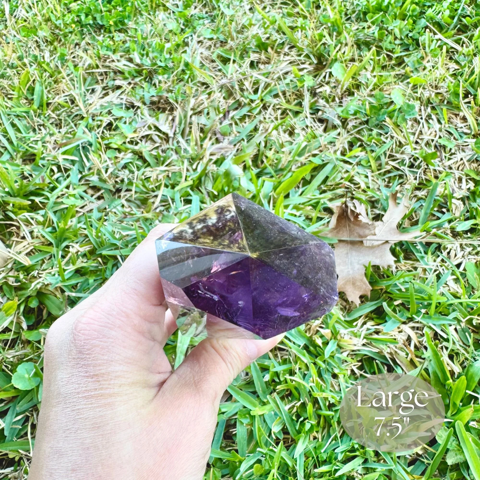 Lg 7.5_ Detail Hold 2.jpg