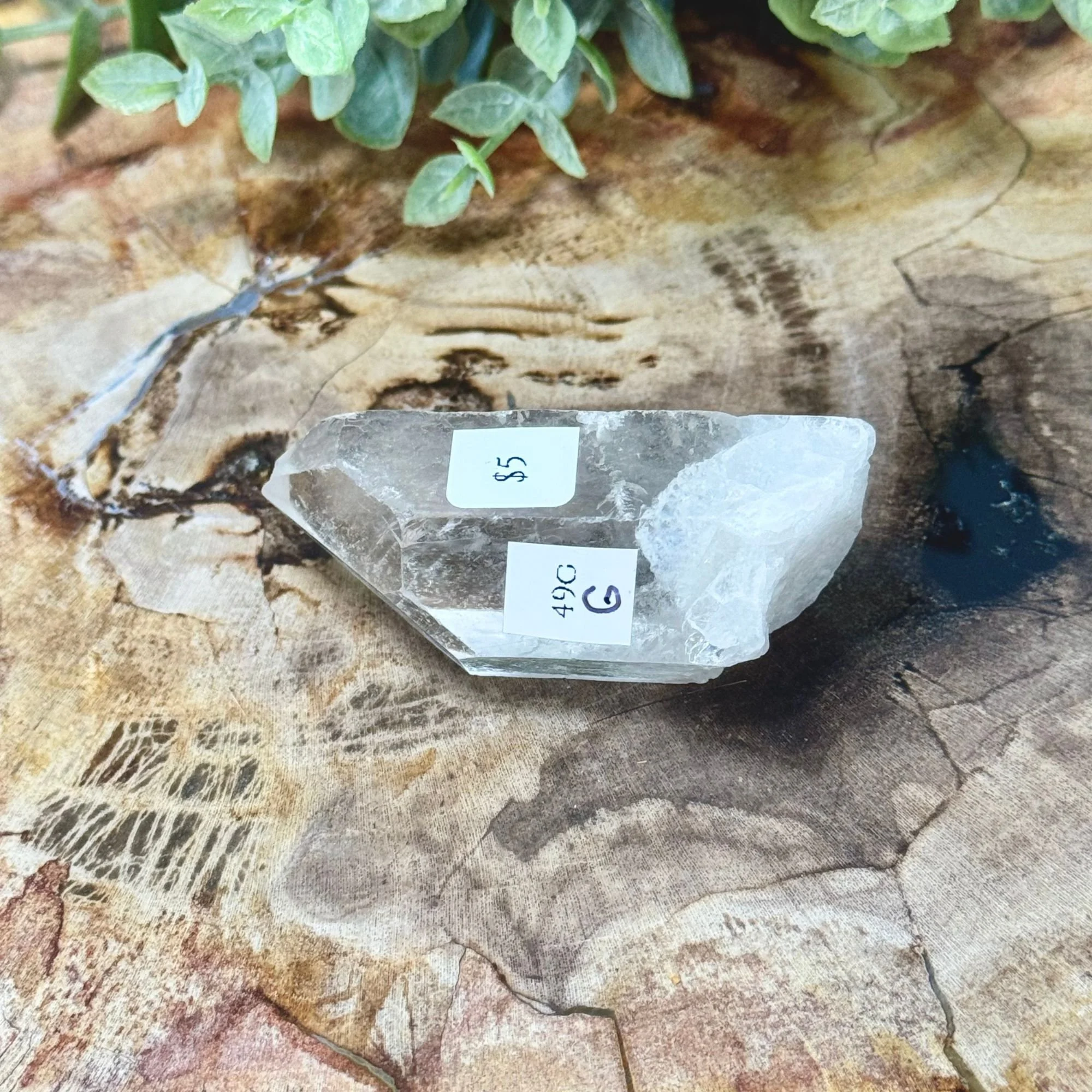 G 2.25_-49g.jpg