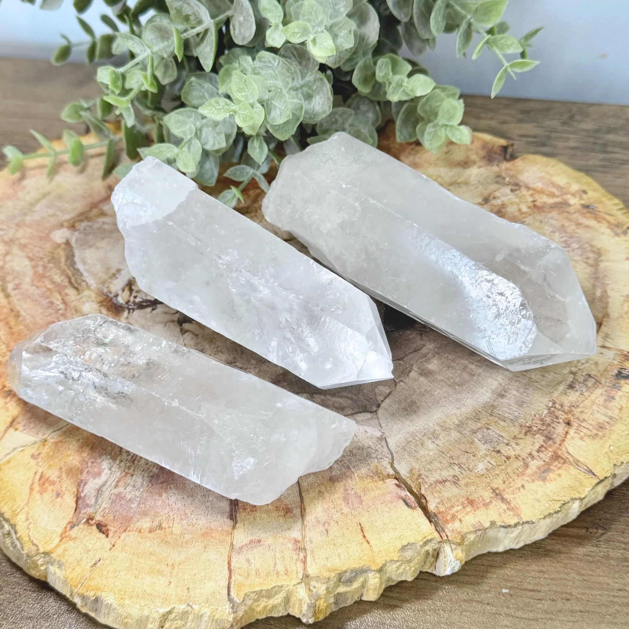 Extra Large Clear Quartz Points | Statement Crystal for Clarity & Amplification