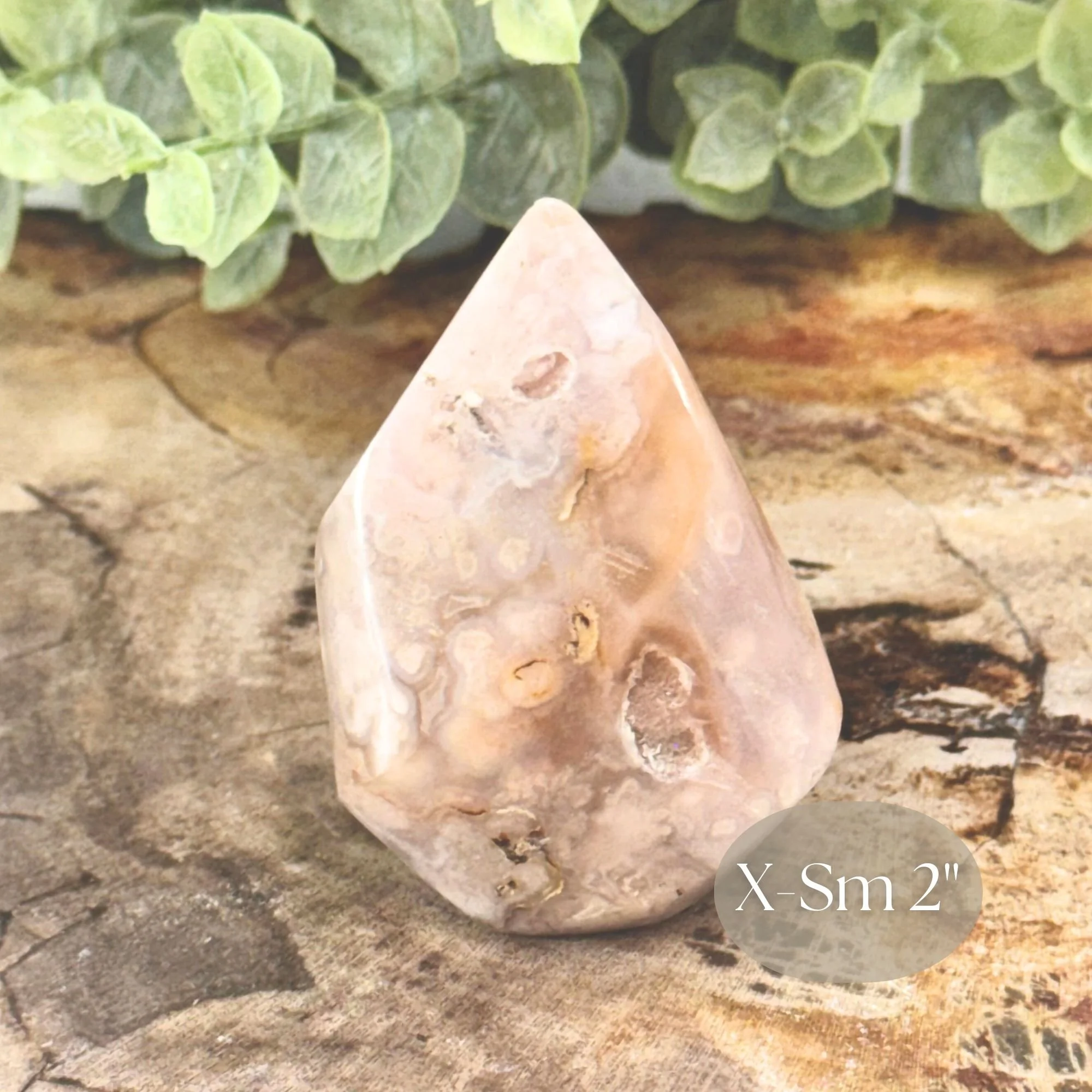 X-Sm 2_ Close up.jpg