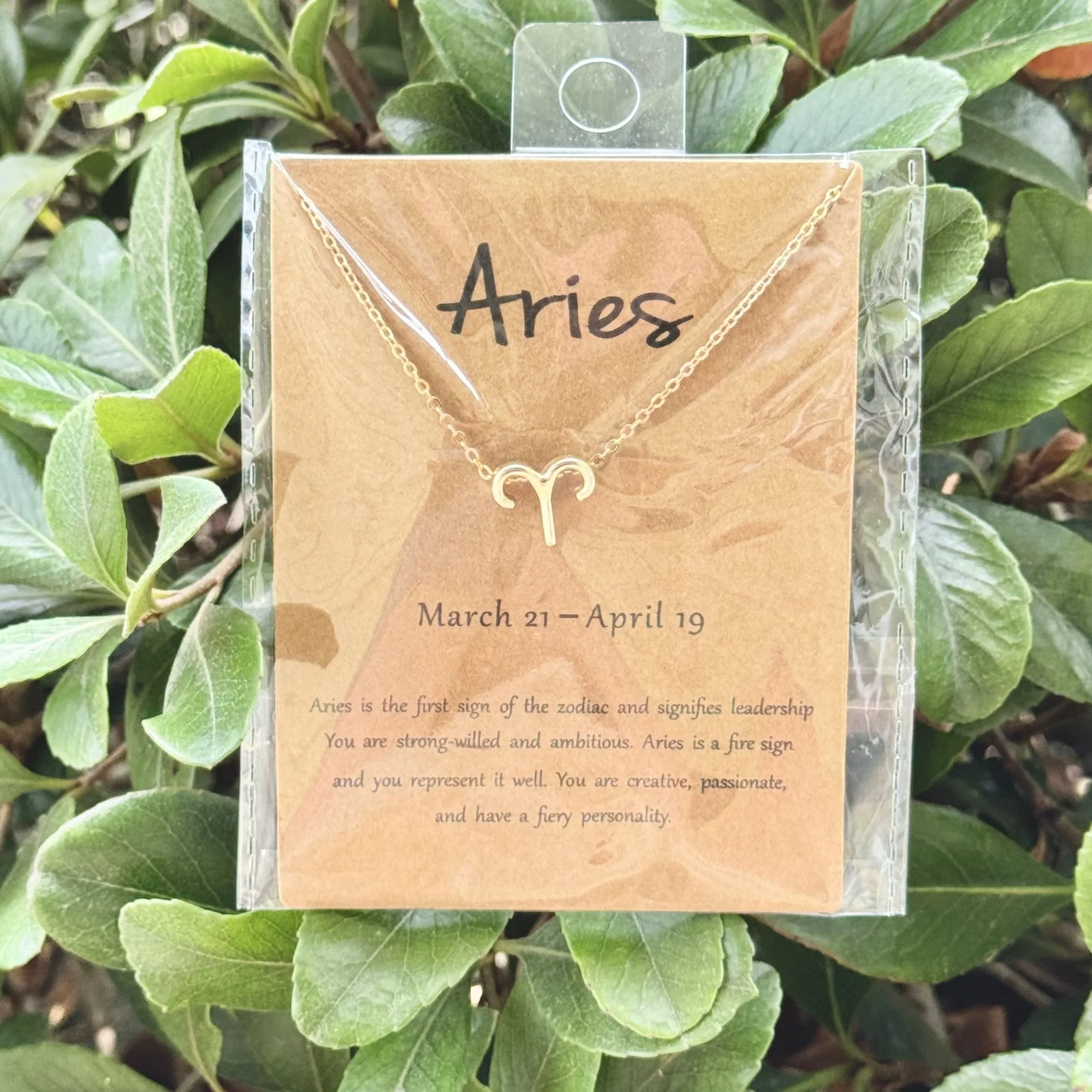Aries.jpg