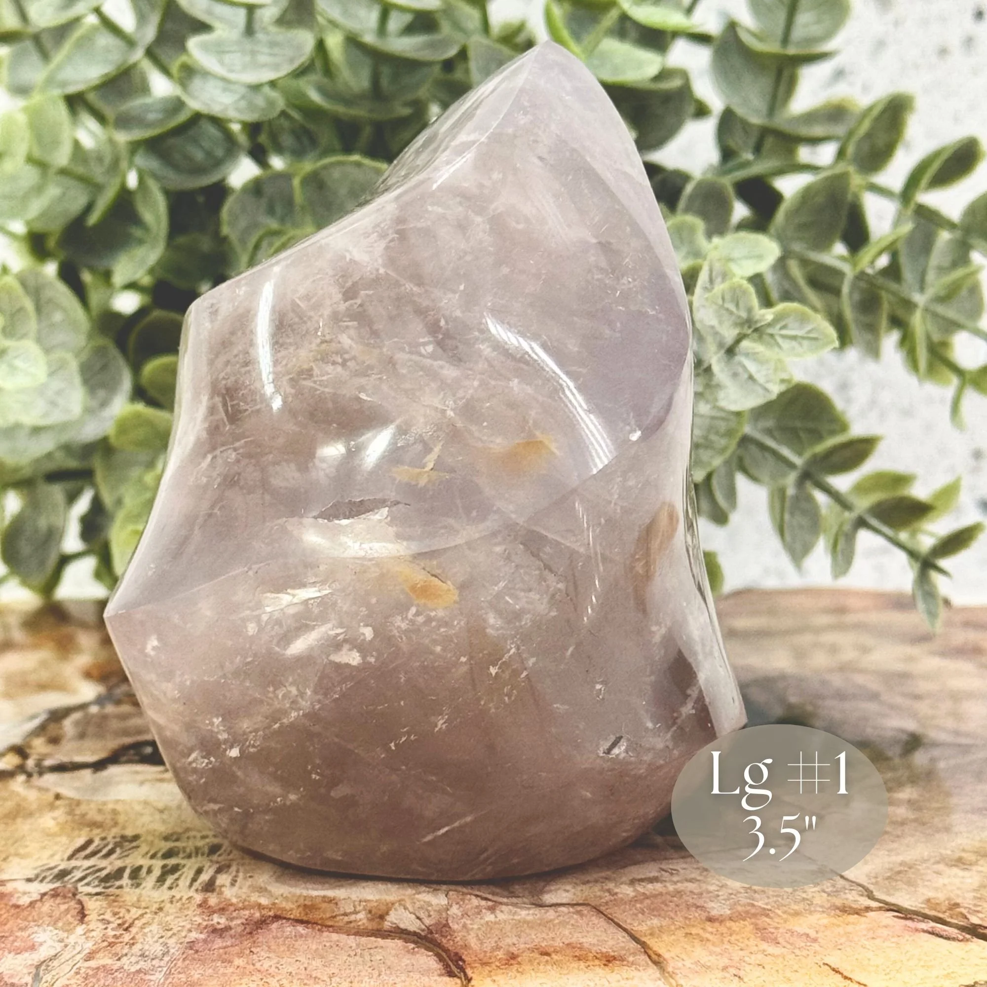 Lg #1-3.5_ Close up.jpg