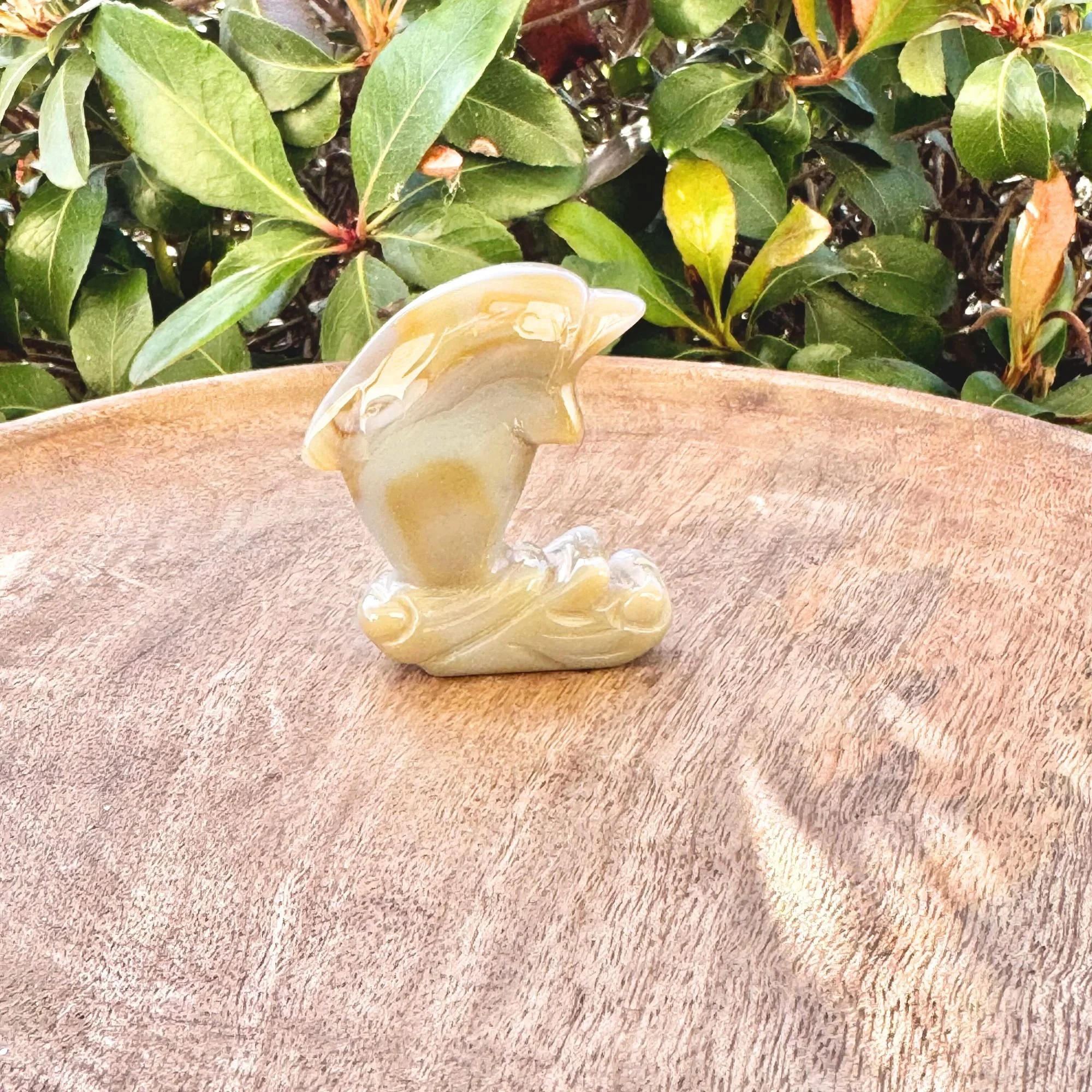 Agate Dolphin on wooden dish with green bushes in the background. Natural banding of tan to gray to white.