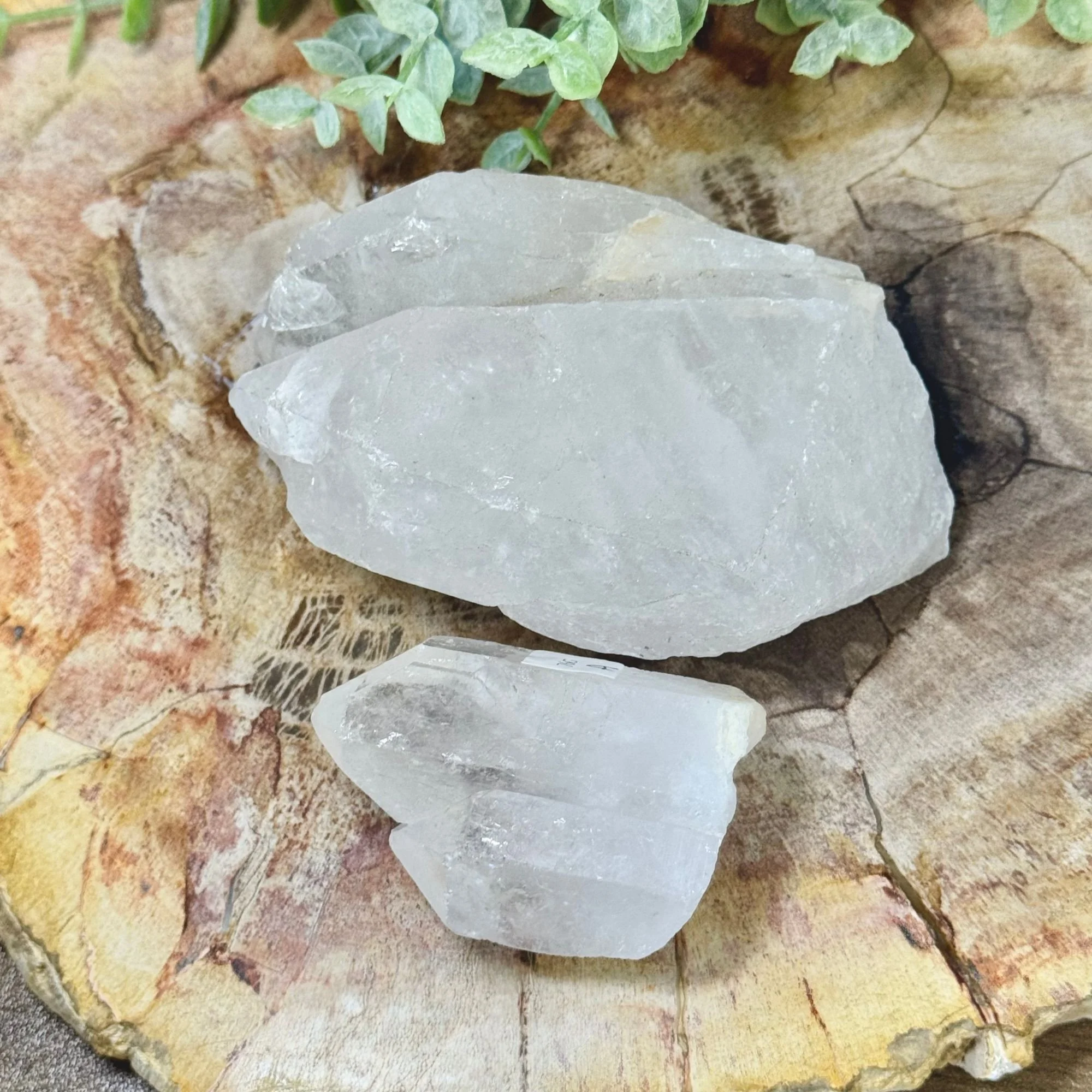 Natural Clear Quartz Twin Points | Unique Crystal Formation & Energy