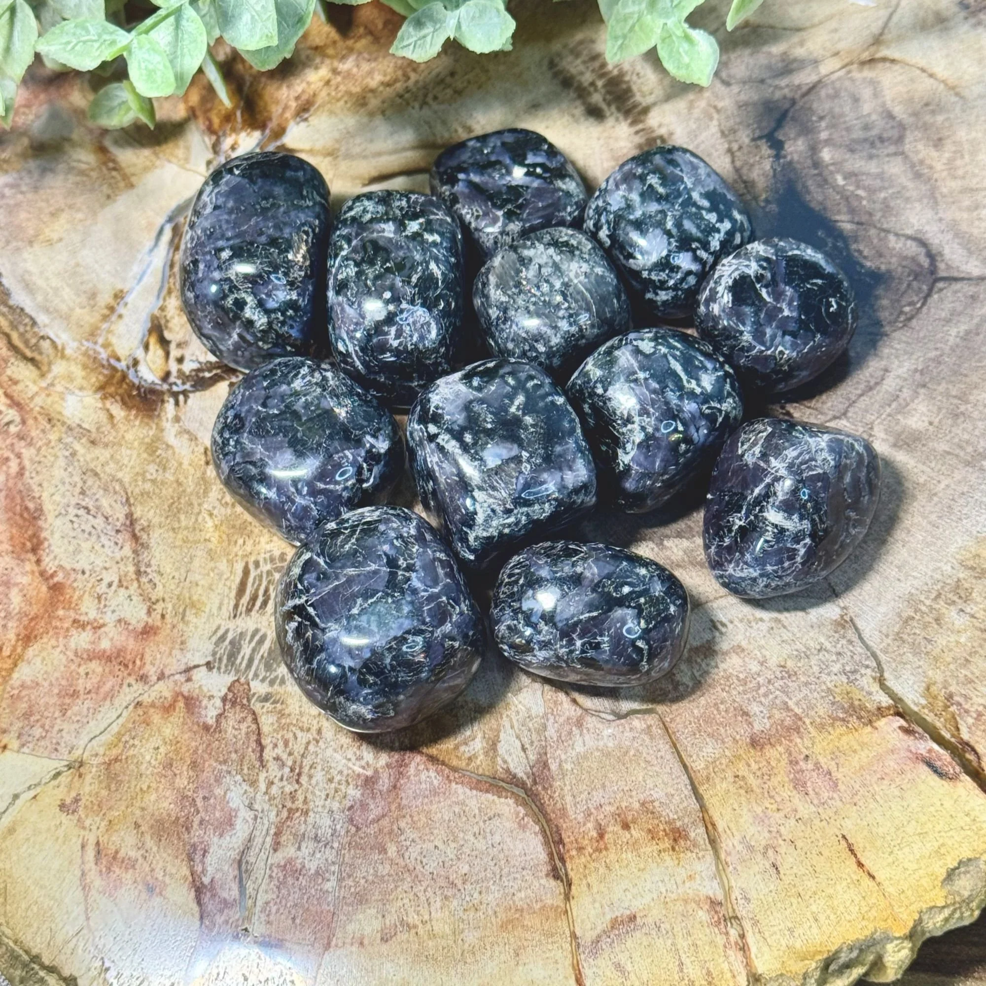 Merlinite Tumbled Stone | Magic, Intuition & Spiritual Awakening Crystal