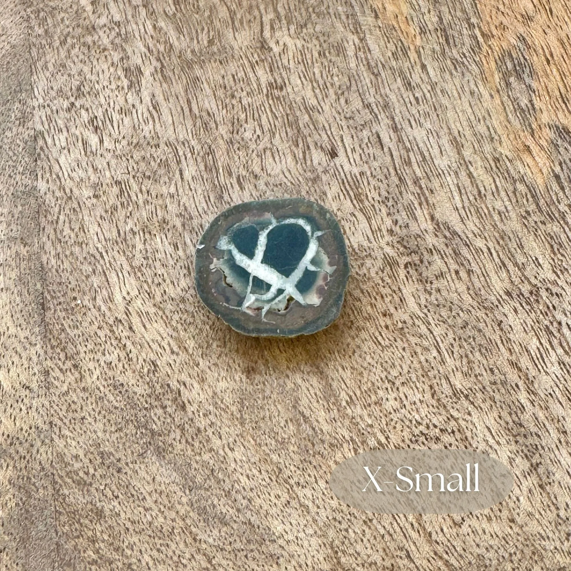 Size x-small, 1 inch by 1 inch in size of natural septarian nodule halves arranged together, featuring polished faces and rough outer edges.