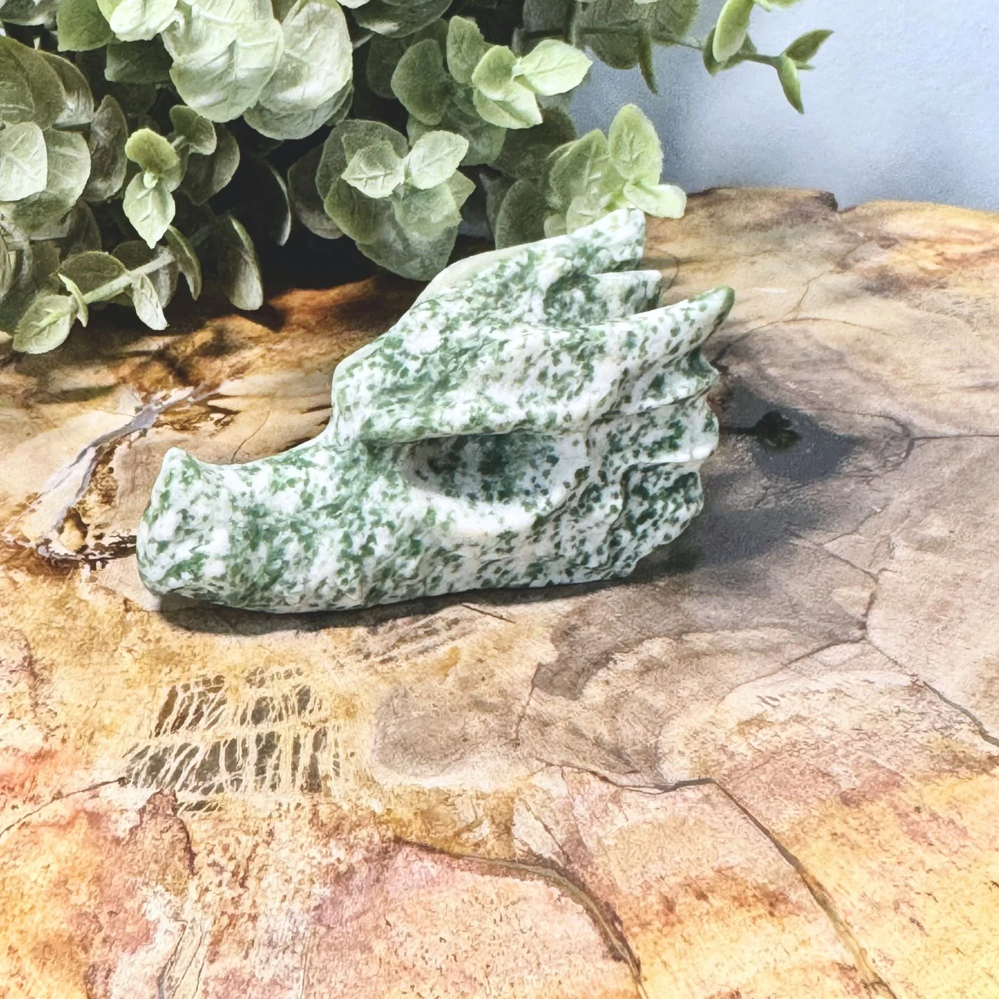 Tree Agate 1.jpg