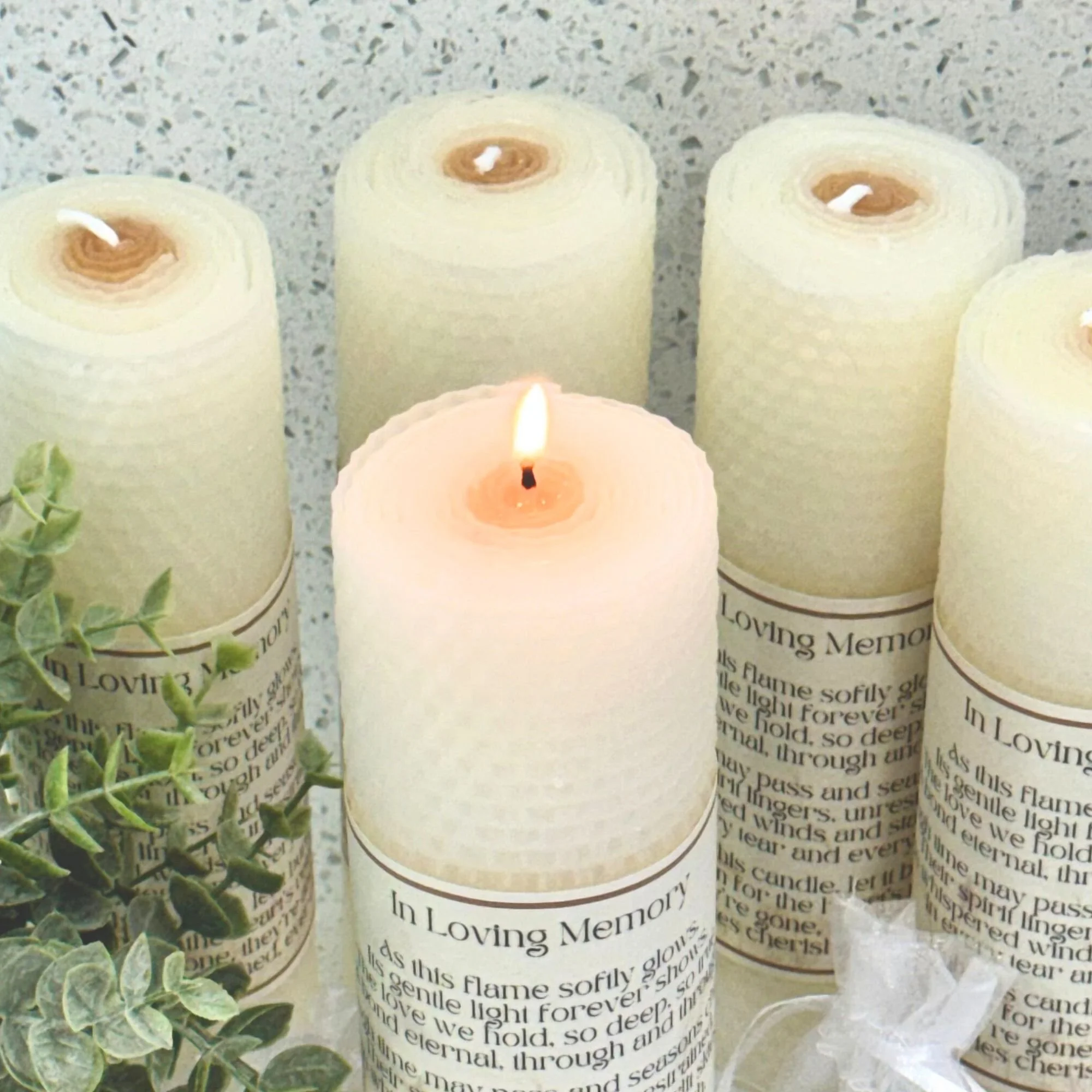 Lit Angle Close-up.jpg