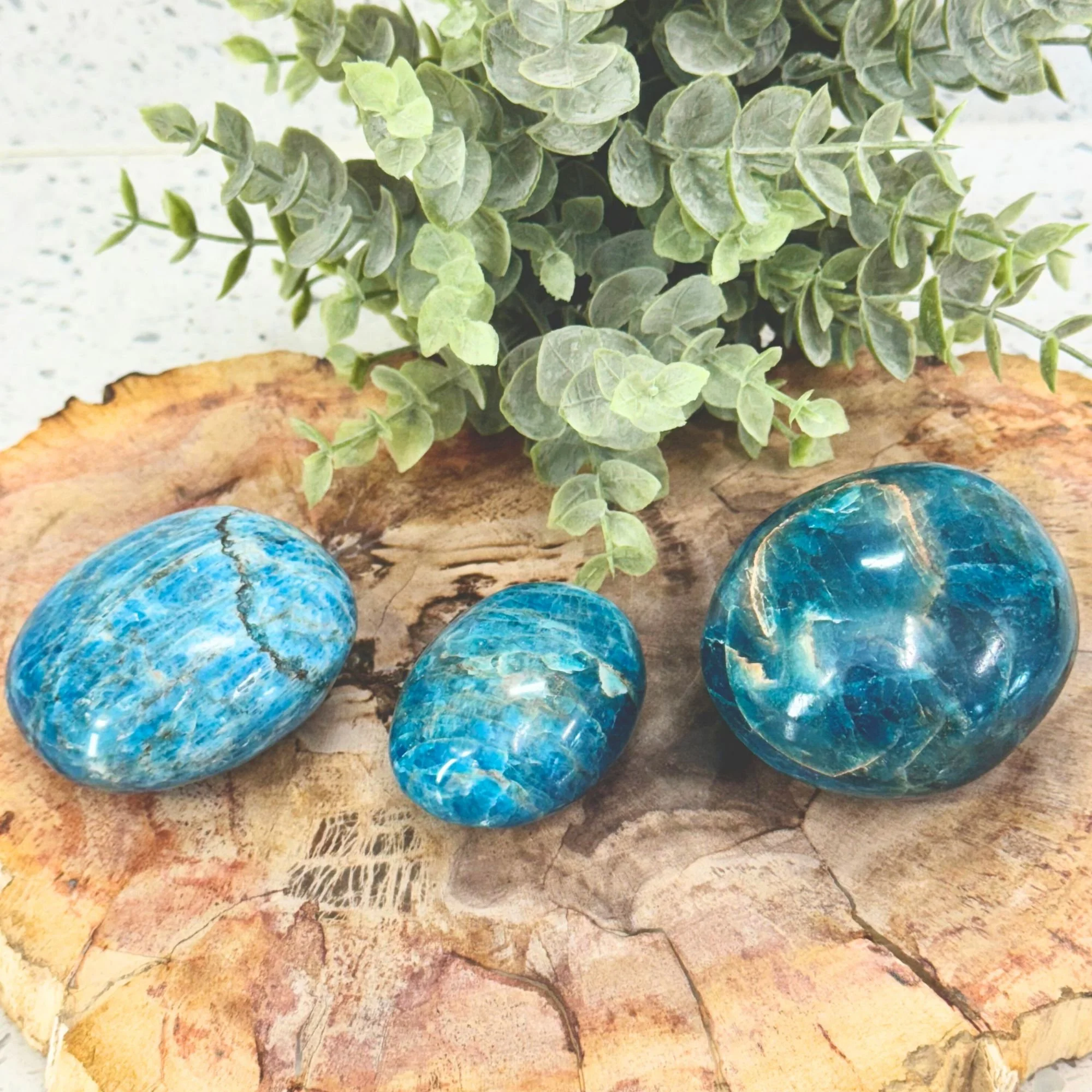 Blue Apatite Palm Stones | Manifestation & Motivation Crystal