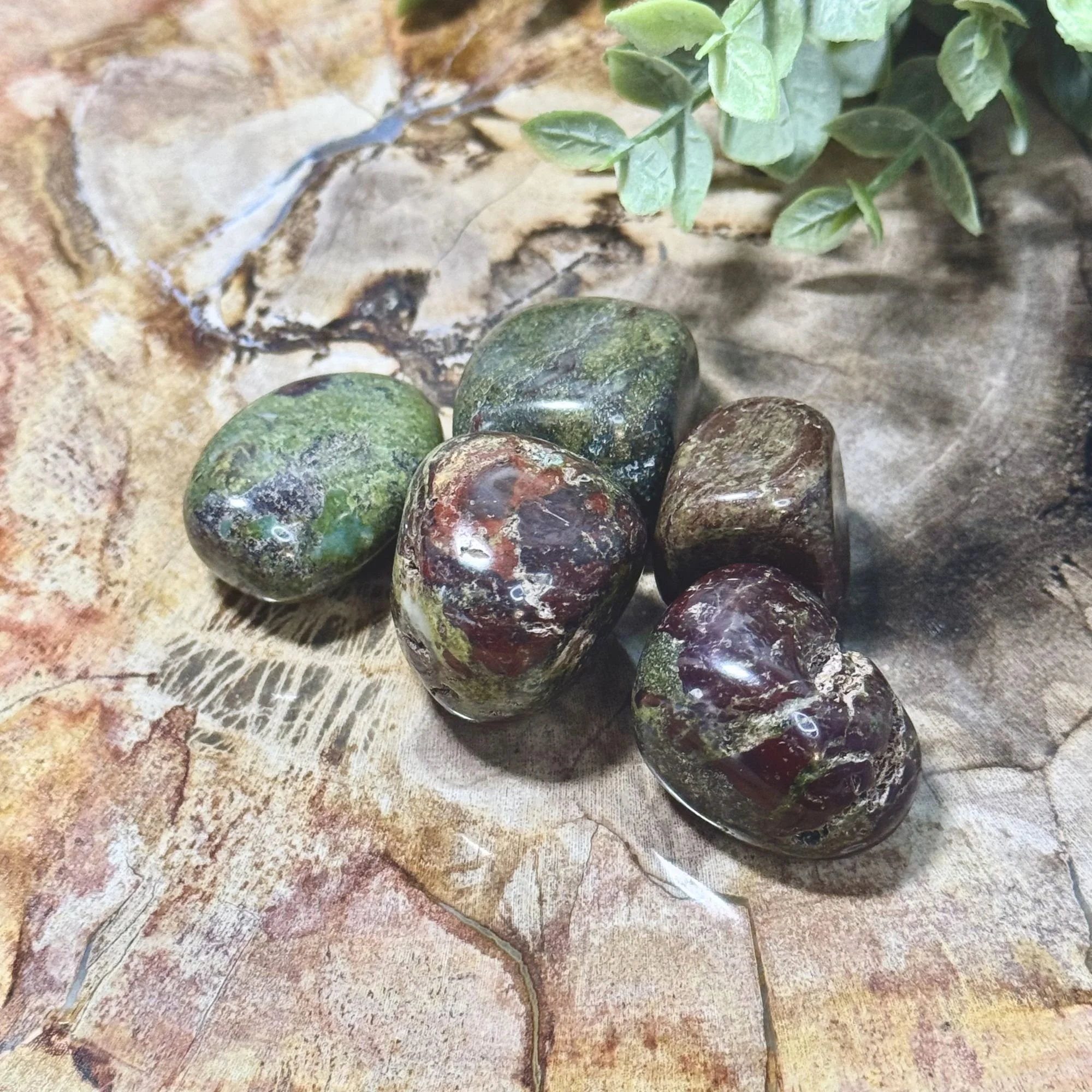 Dragon Bloodstone Tumbled Stones | Courage, Strength & Vitality Crystal