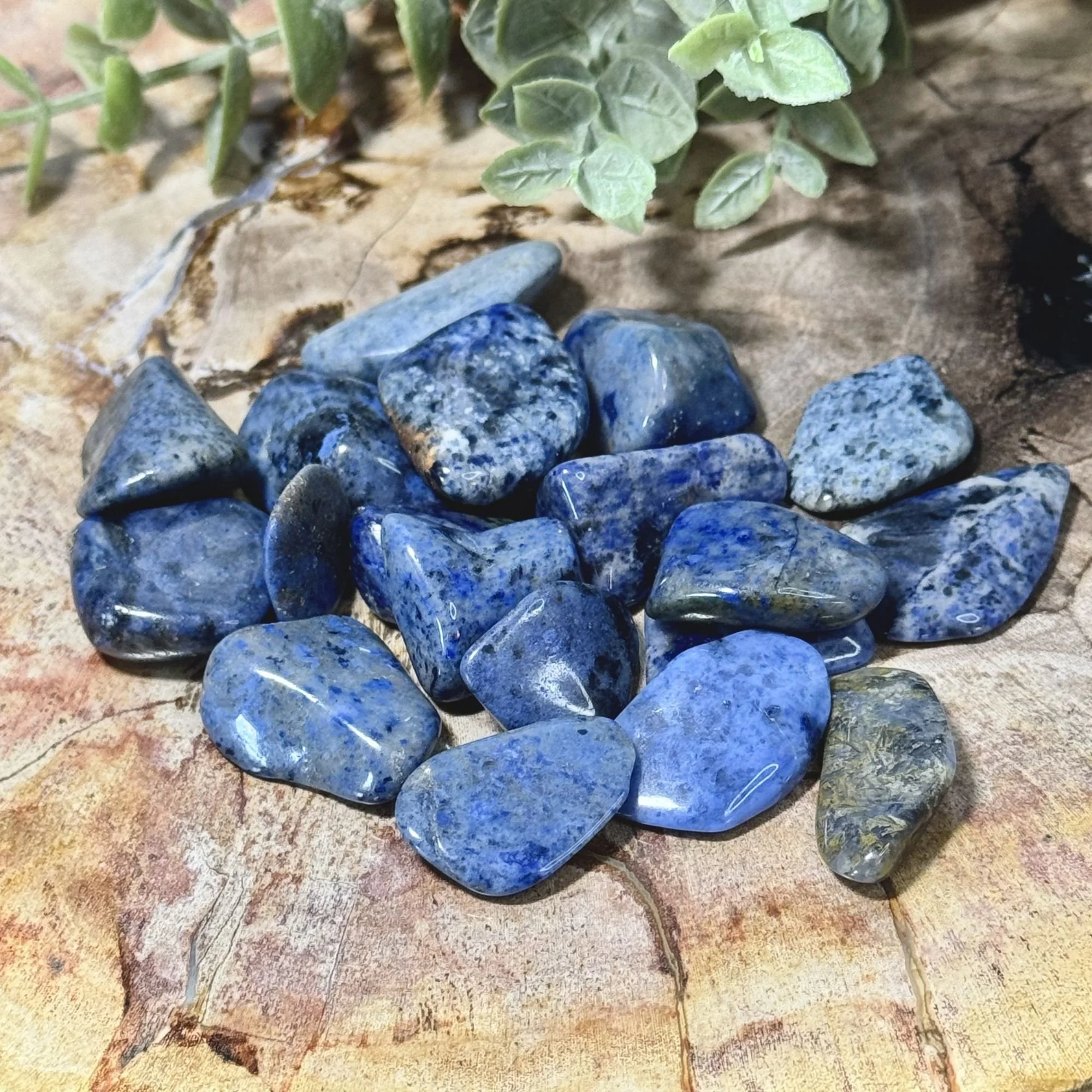Title Page.jpg