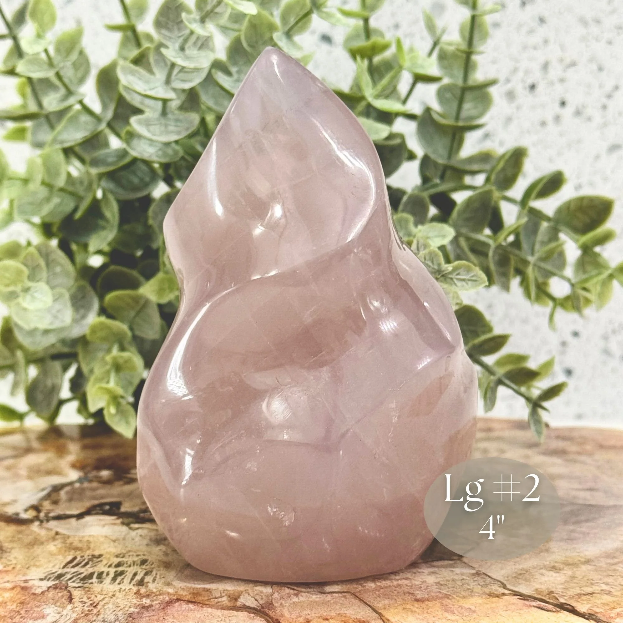 Lg #2-4_ Close up.jpg