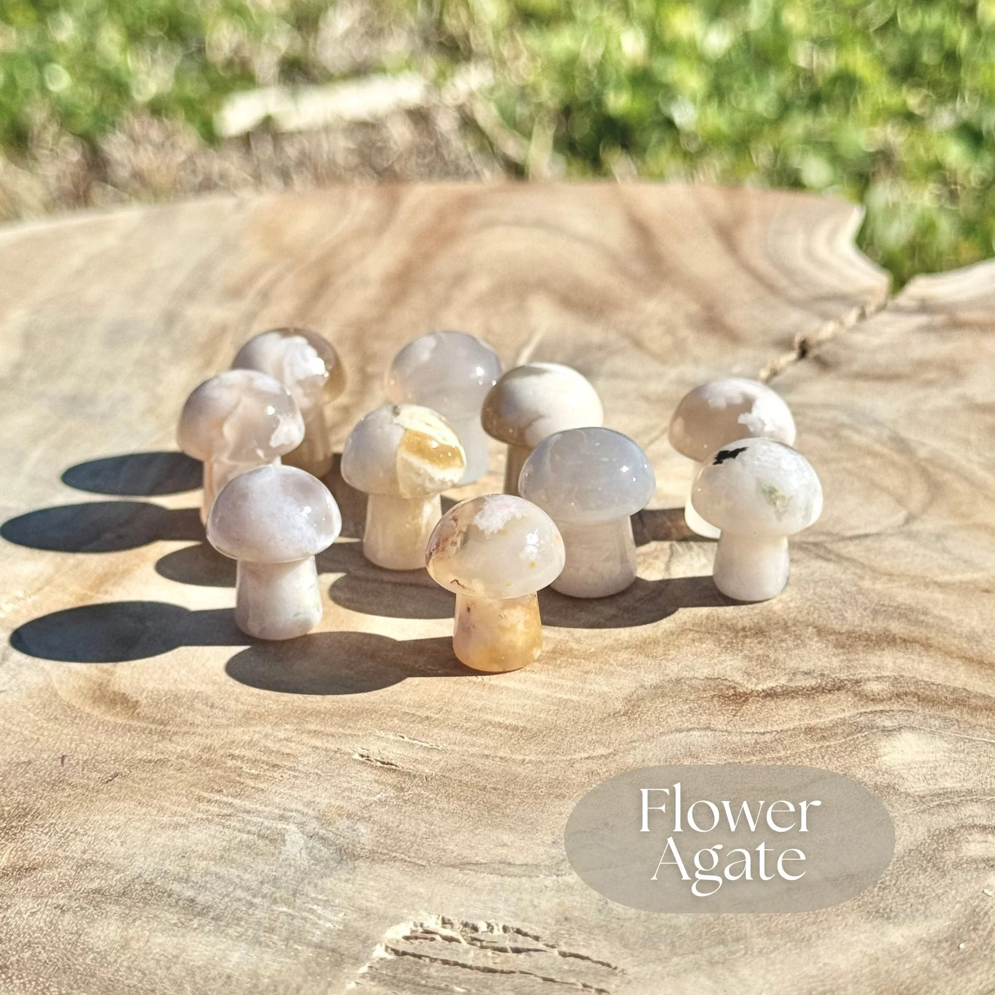 Flower Agate 1.jpg