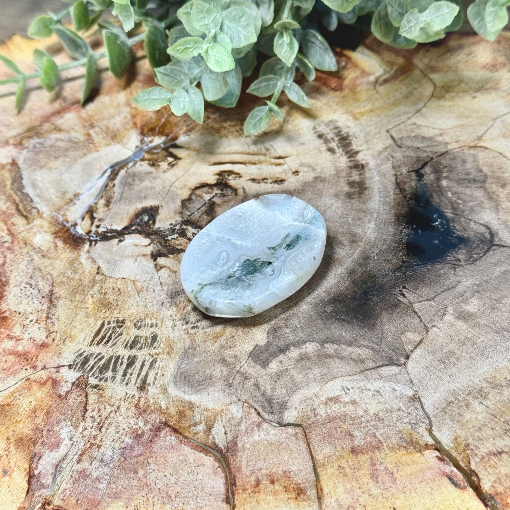 Moss Agate Worry Stone | Grounding, Growth & Abundance