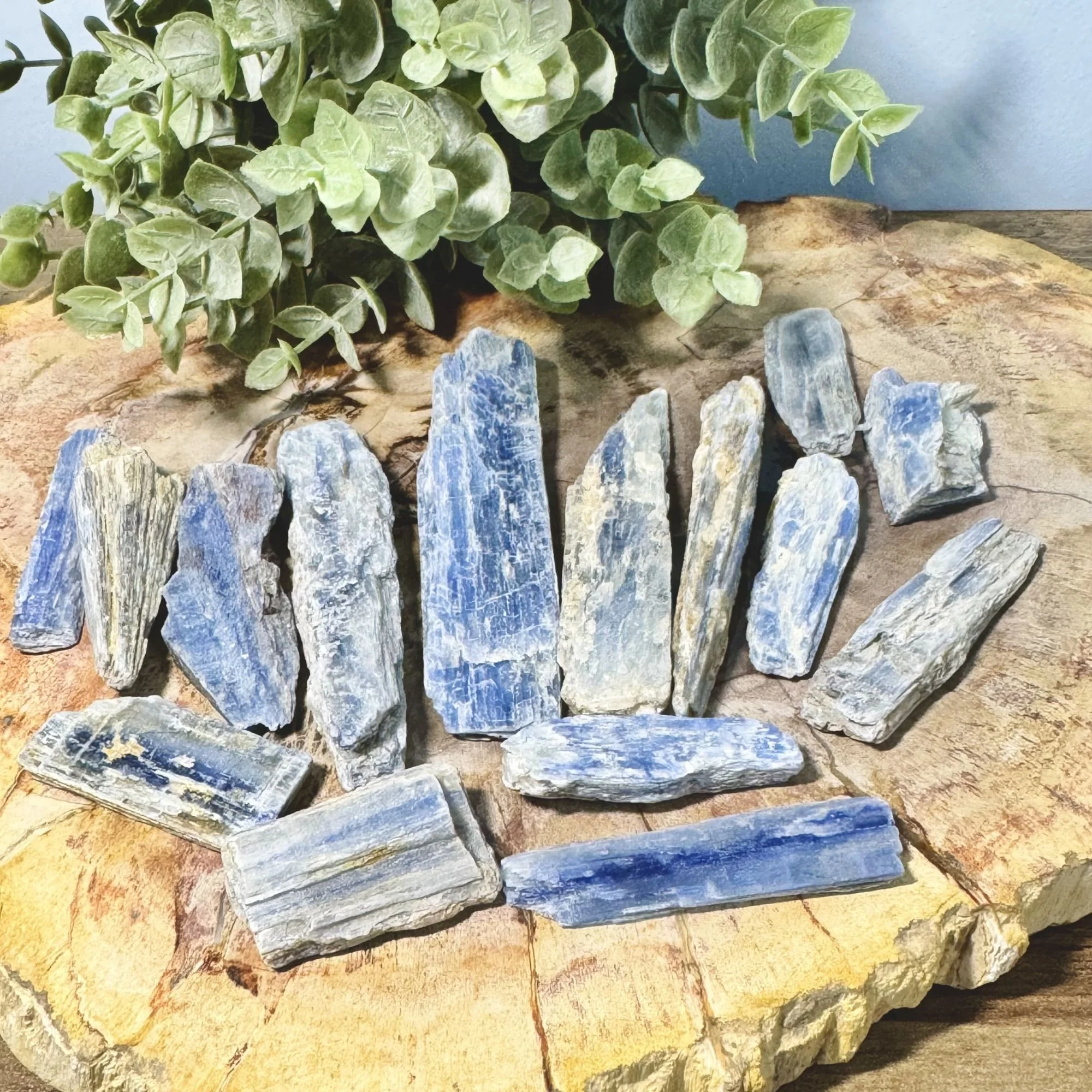 Blue Kyanite Natural Blades | Raw Blue Kyanite Crystal Pieces