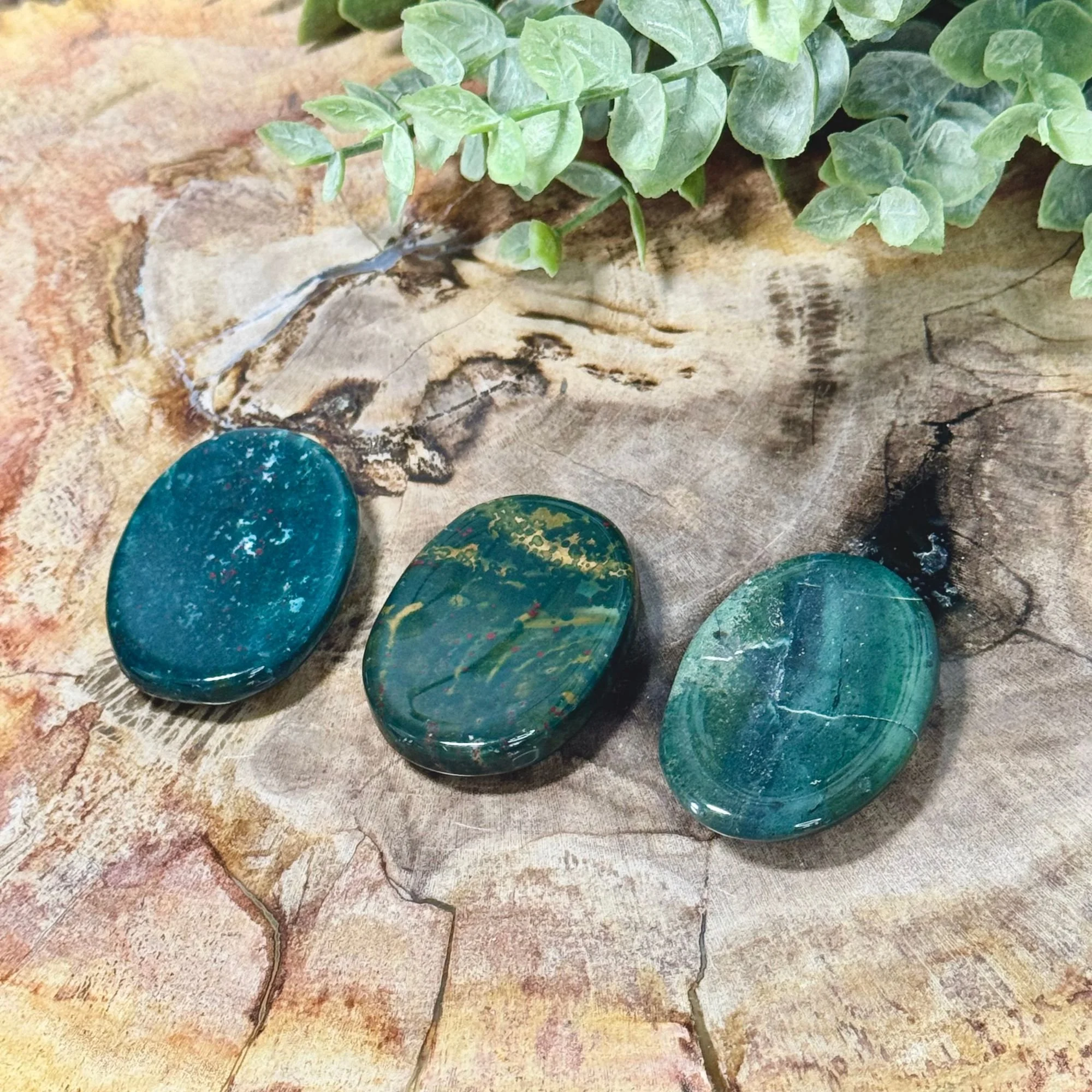 Bloodstone Worry Stone — Natural Bloodstone Crystal