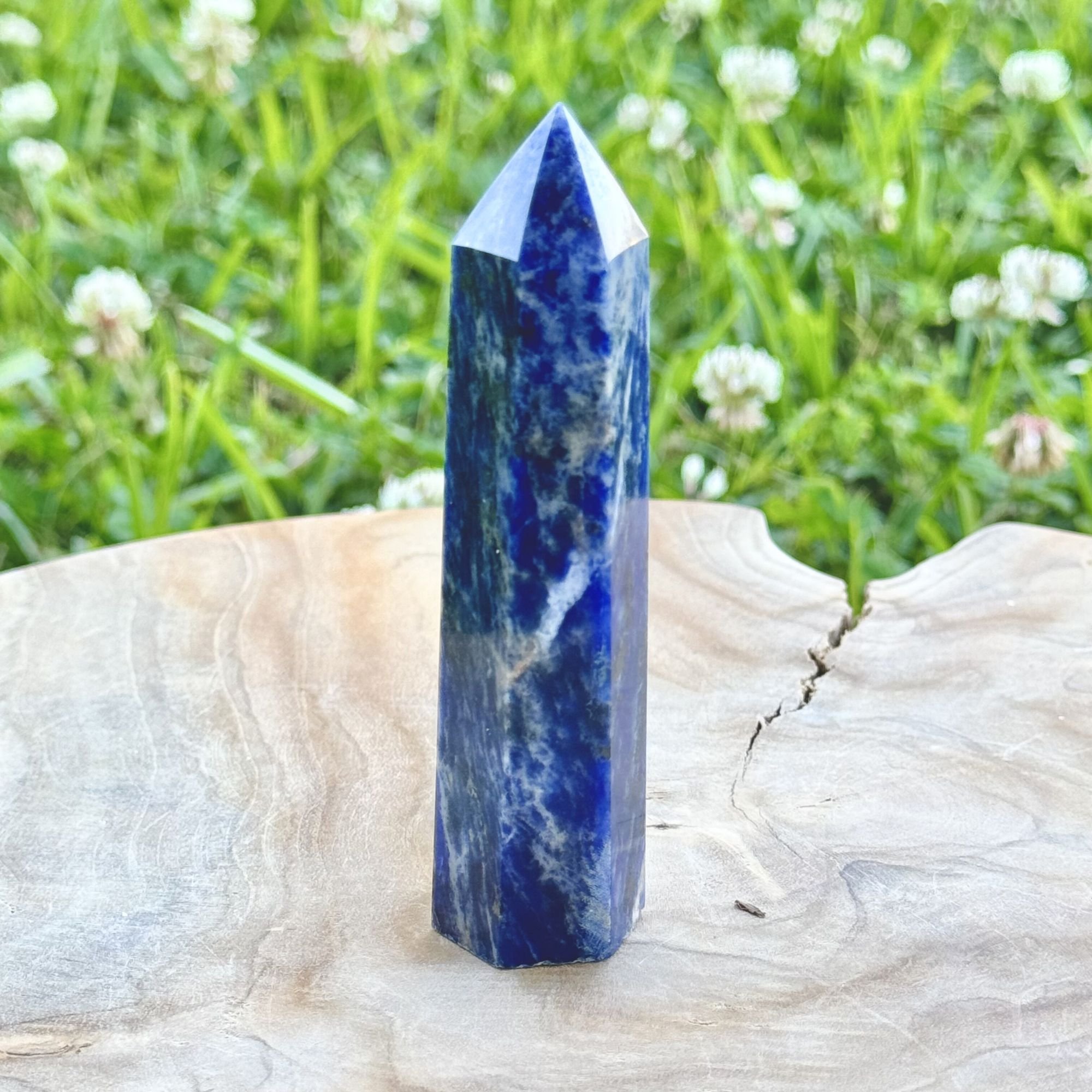 Sodalite Generator Tower (4") | Intuition, Truth & Communication Crystal Point