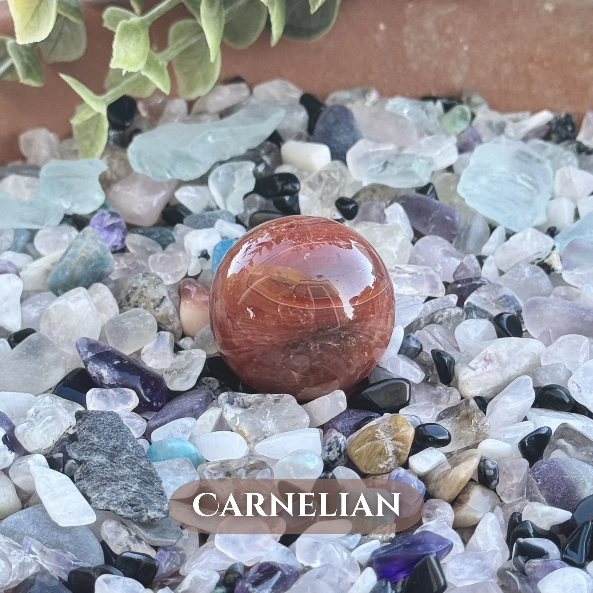 Carnelian.jpg