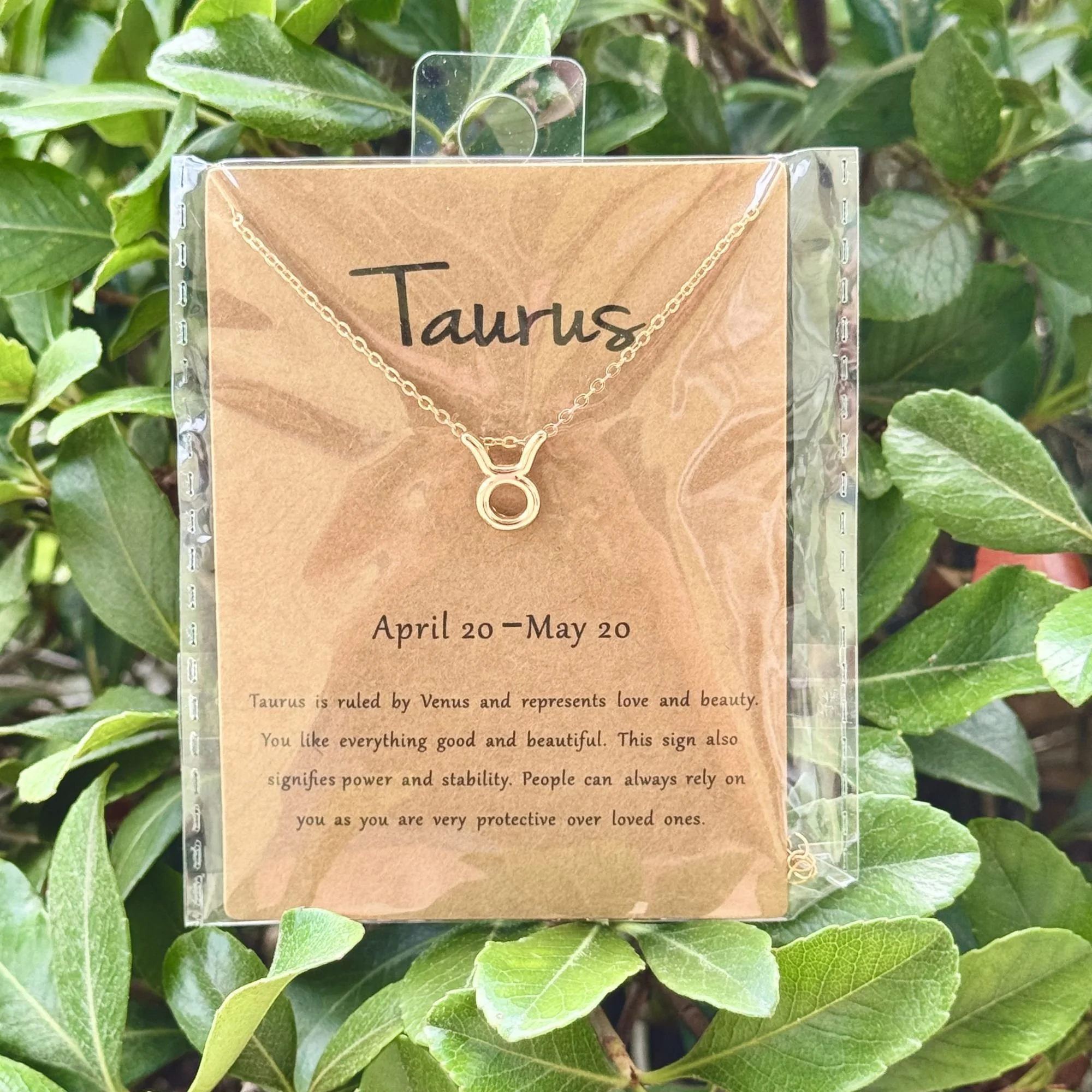 Taurus.jpg