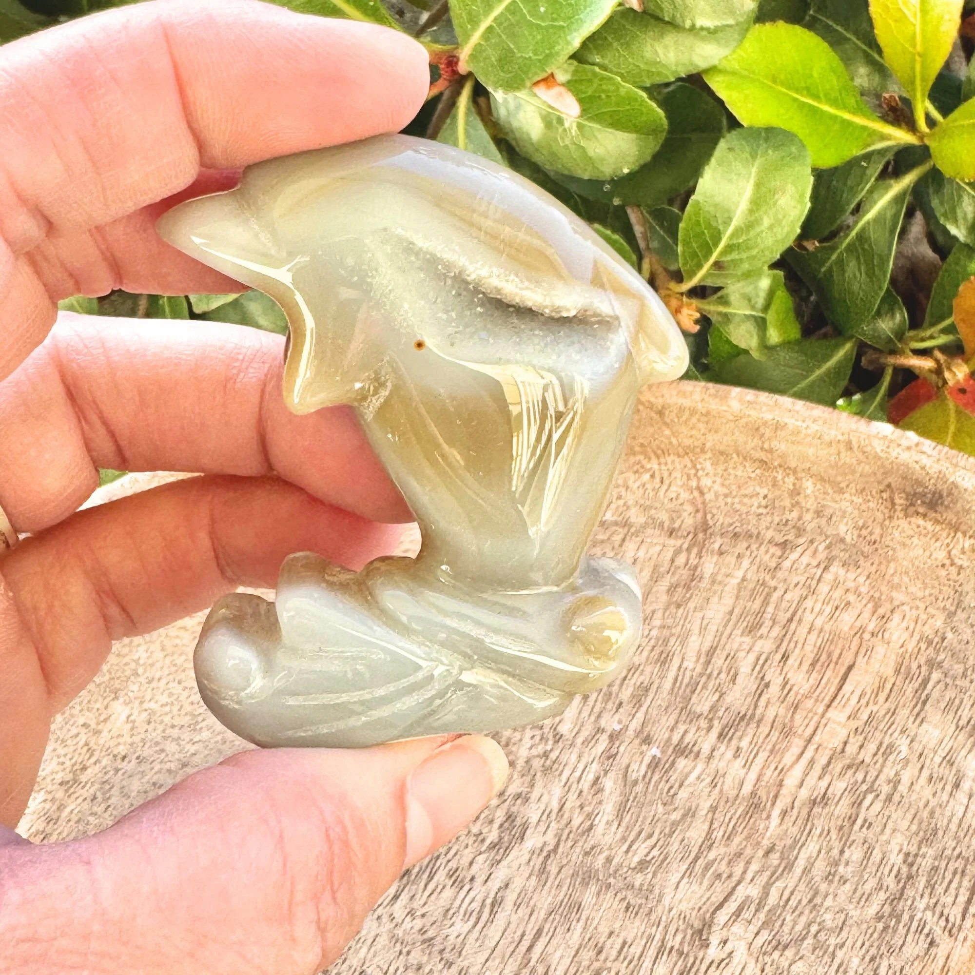 A hand holding an Agate Dolphin with green bushes in the background. Natural banding of tan to gray to white with a small druzy pocket of sparkling Quartz..