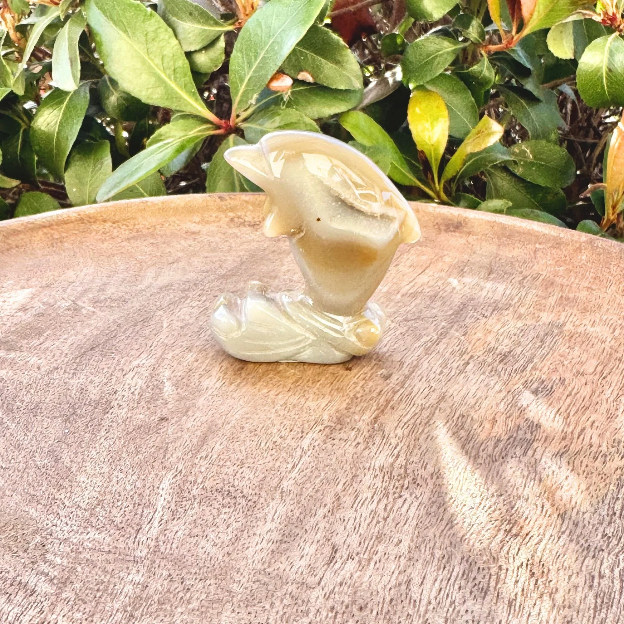 Agate Dolphin Carving – Crystal Animal Totem of Joy, Protection & Flow