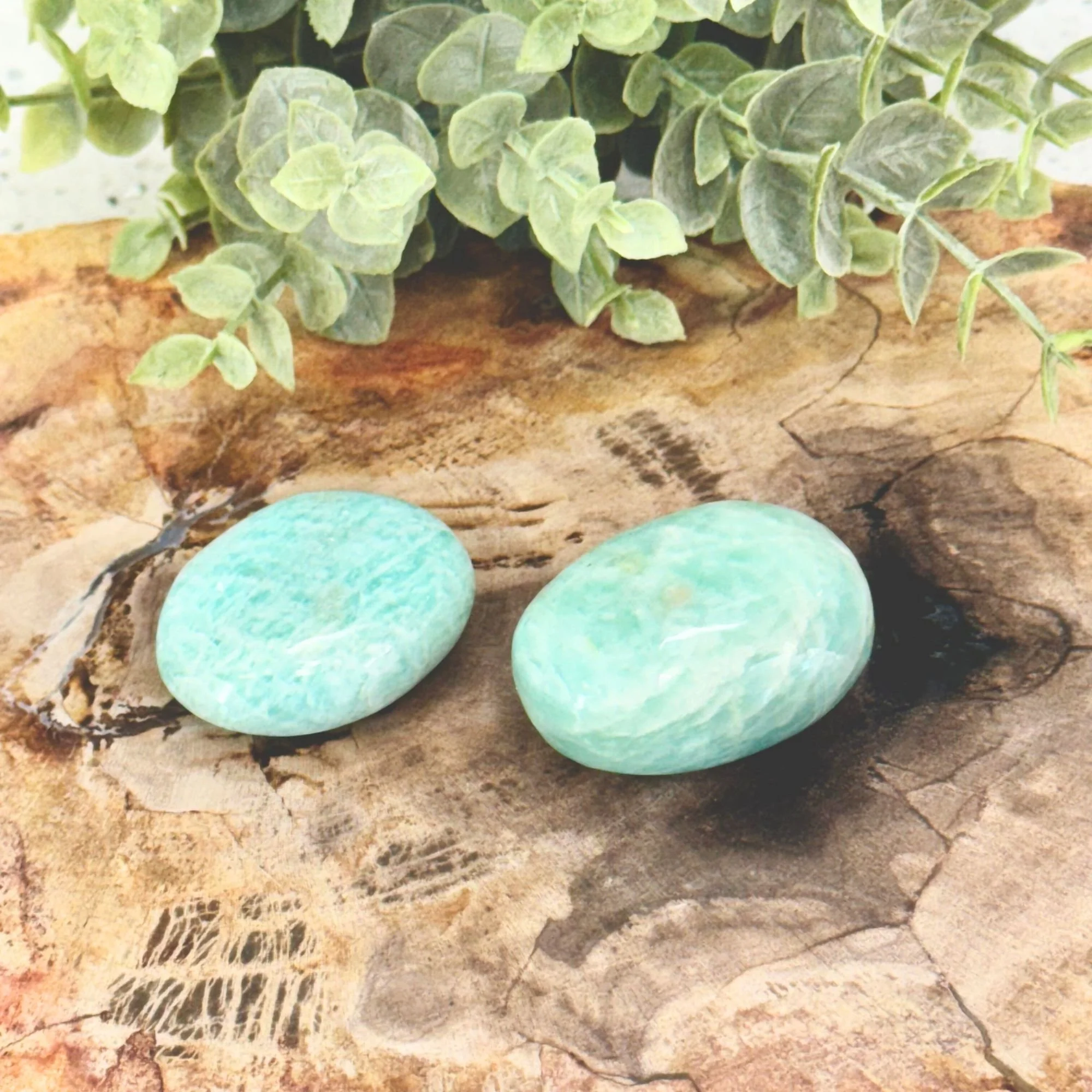 Amazonite Palm Stones (Small) | Calm, Balance & Truth Crystal