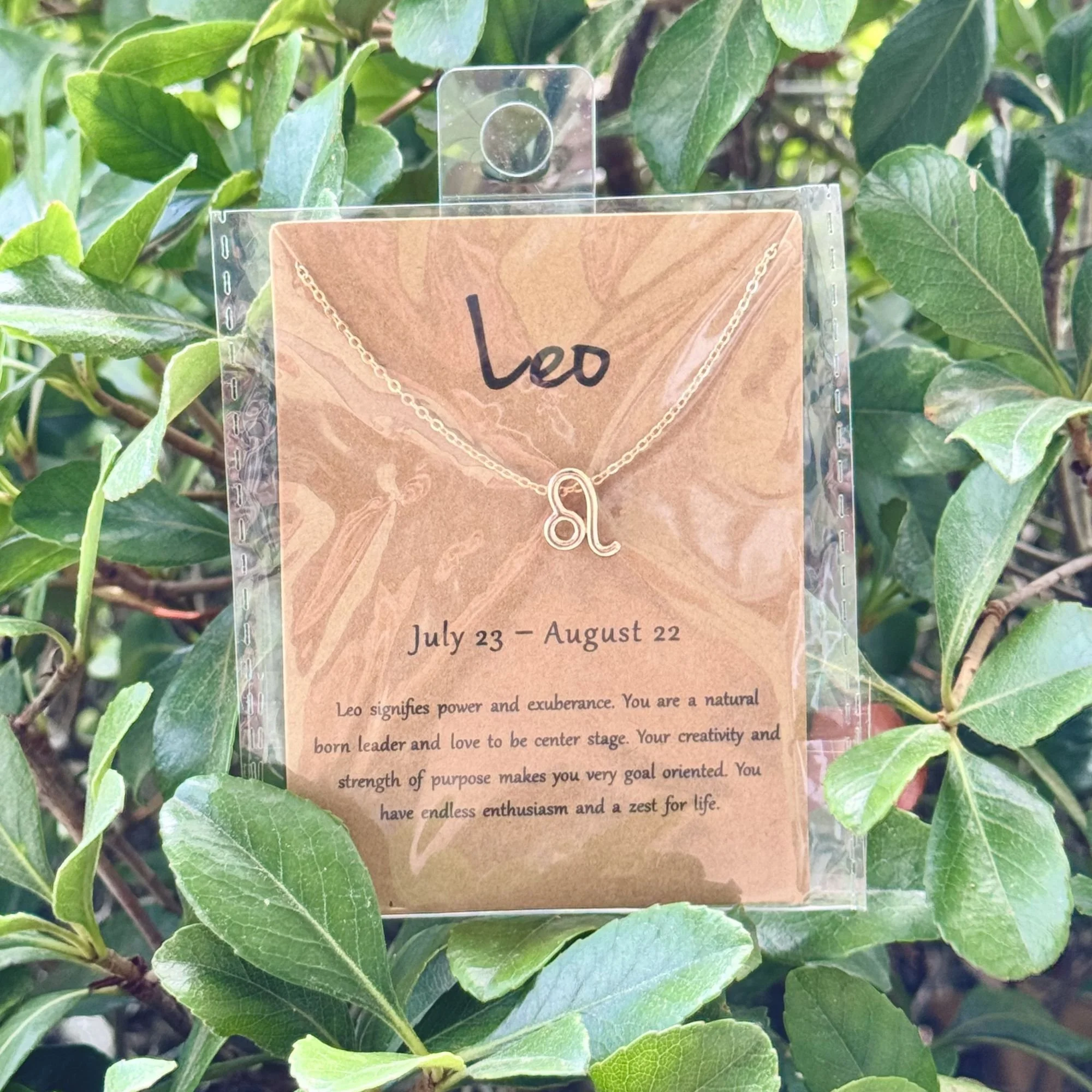 Leo.jpg