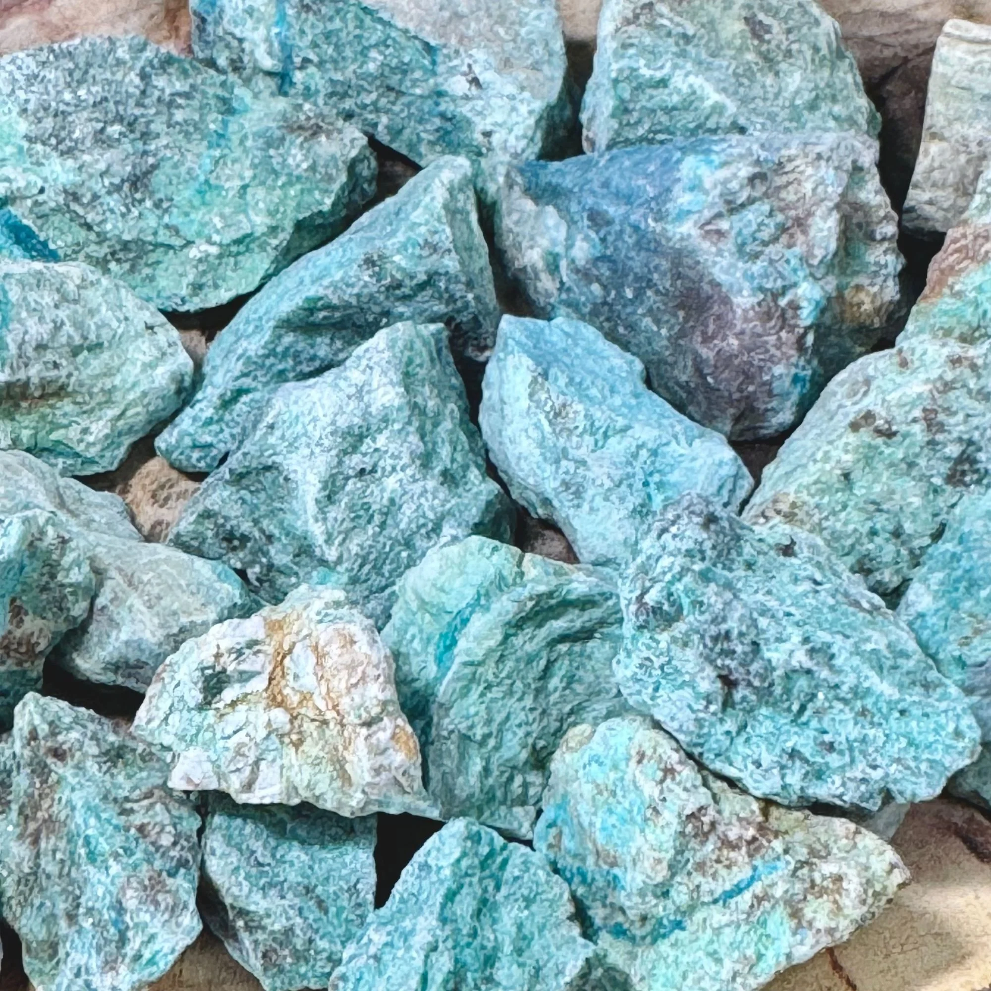 Close Up.jpg