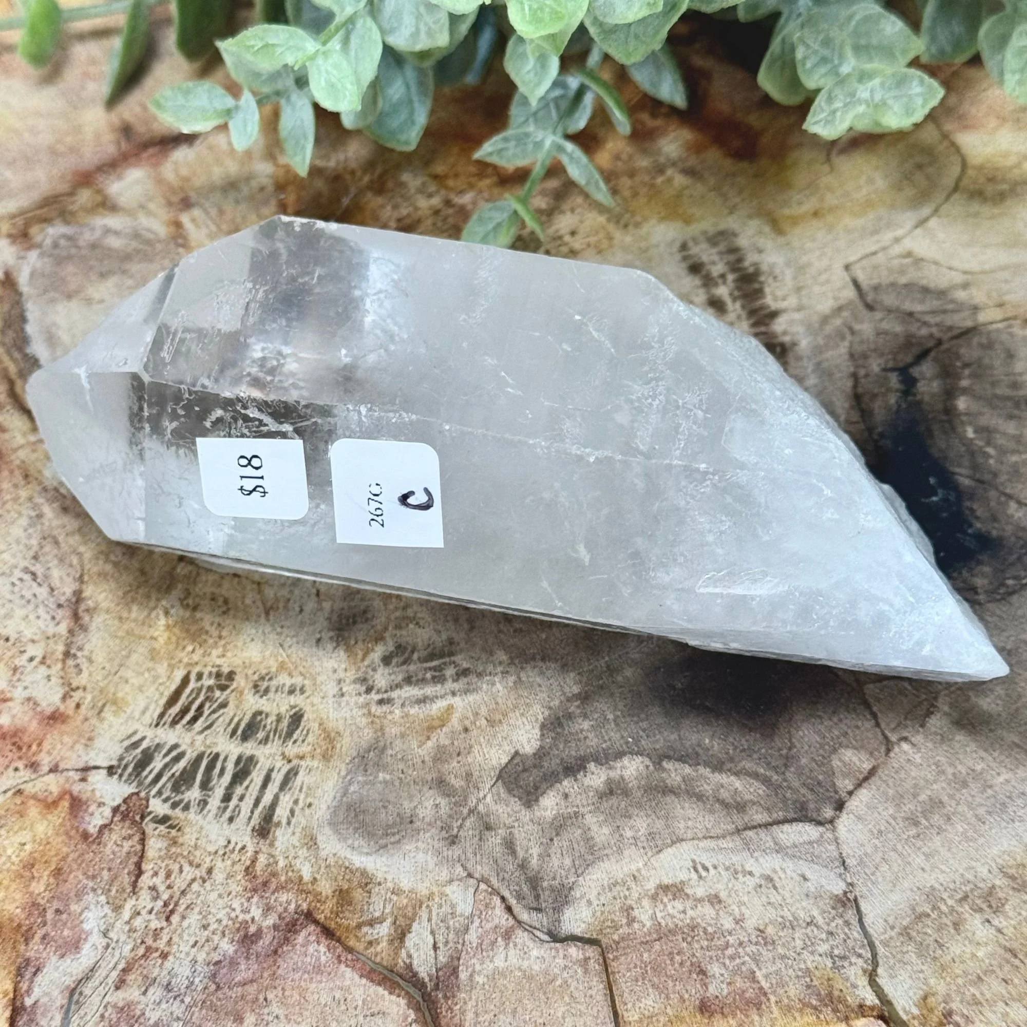 C 4.5_-267g Close up.jpg