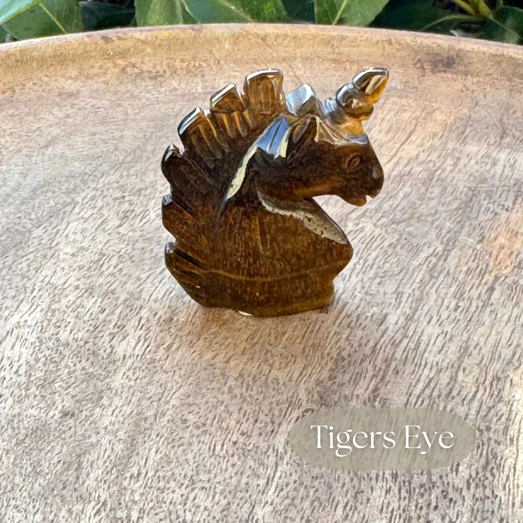 Close up view of a Golden Tigers Eye Unicorn Head Carving on wooden dish with green bush in the background