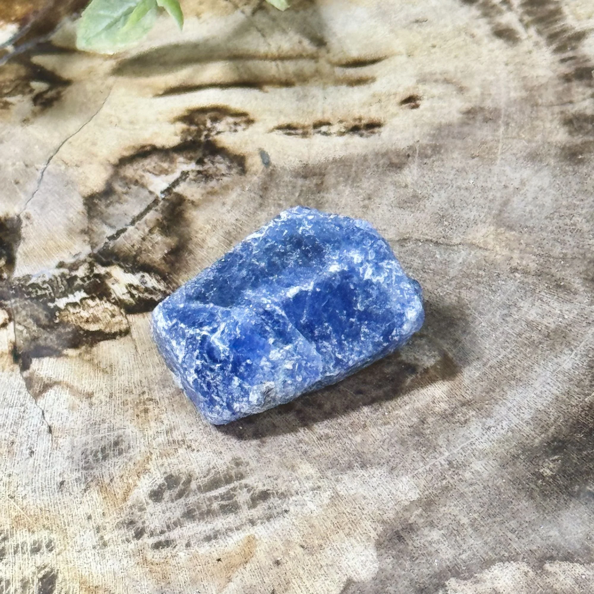 Large.jpg