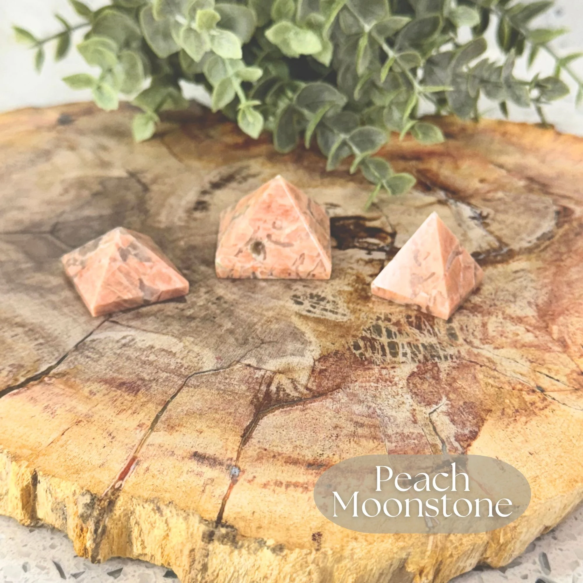 Three Peach Moonstone Pyramid carvings in a peach orange tone displayed on a petrified wood slab on a white countertop with a faux plant in the background