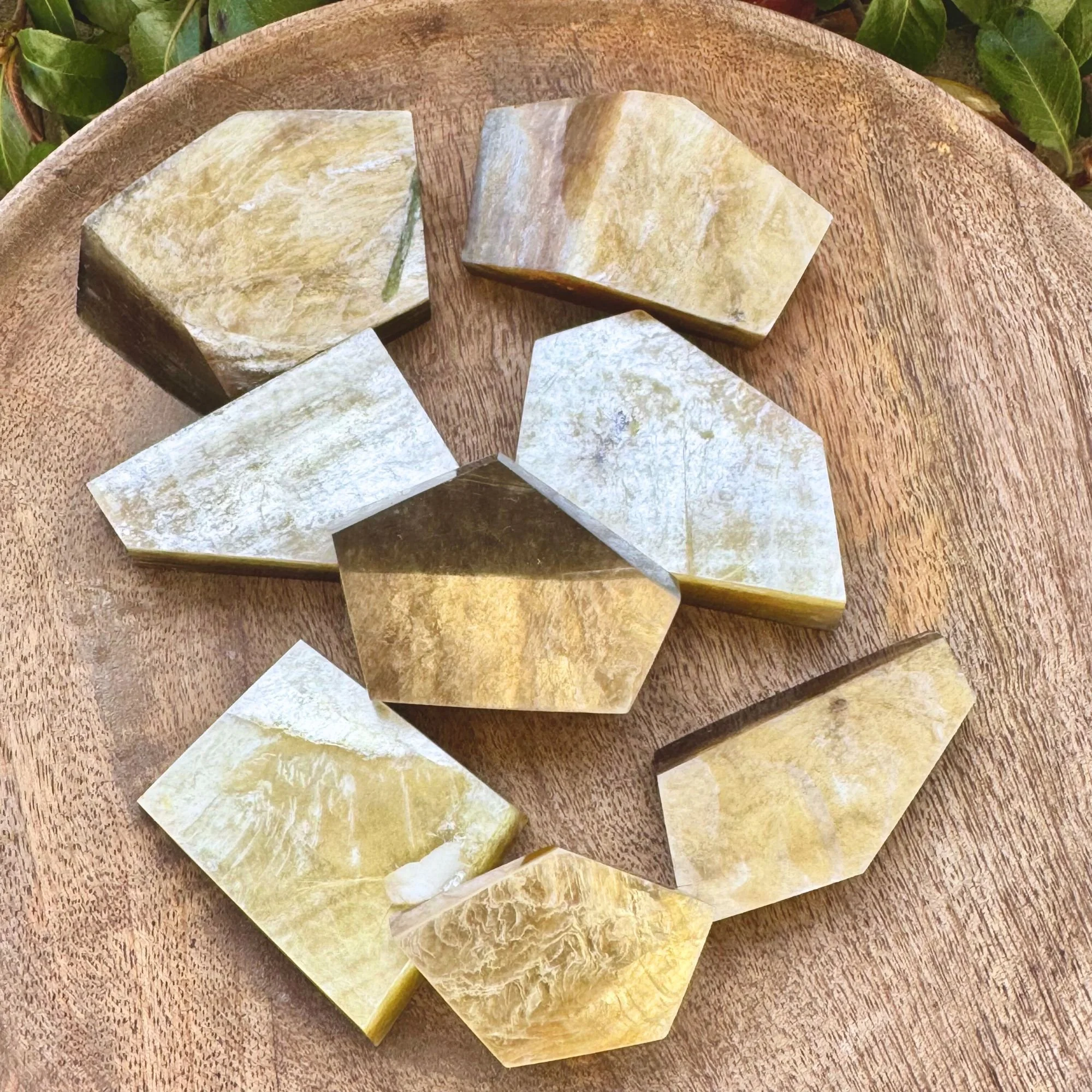 Various sizes of Muscovite or Golden Mica with natural shimmering golden hues and shine on wooden dish with green bush in background