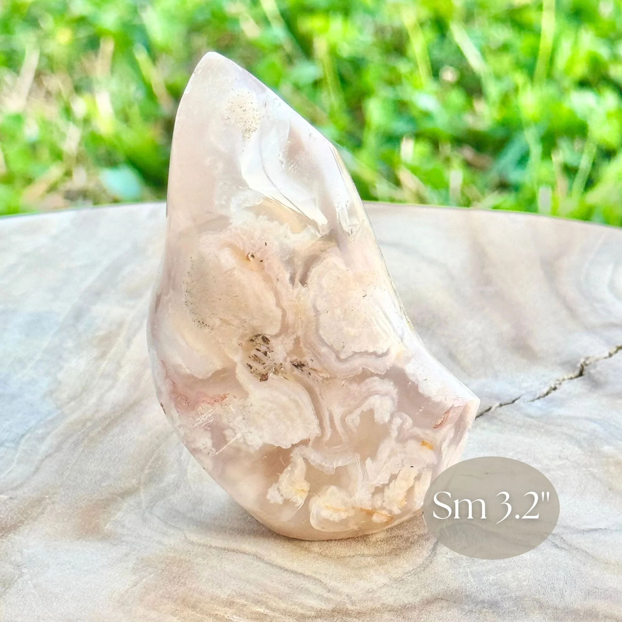 Sm 3.2_ Close up.jpg