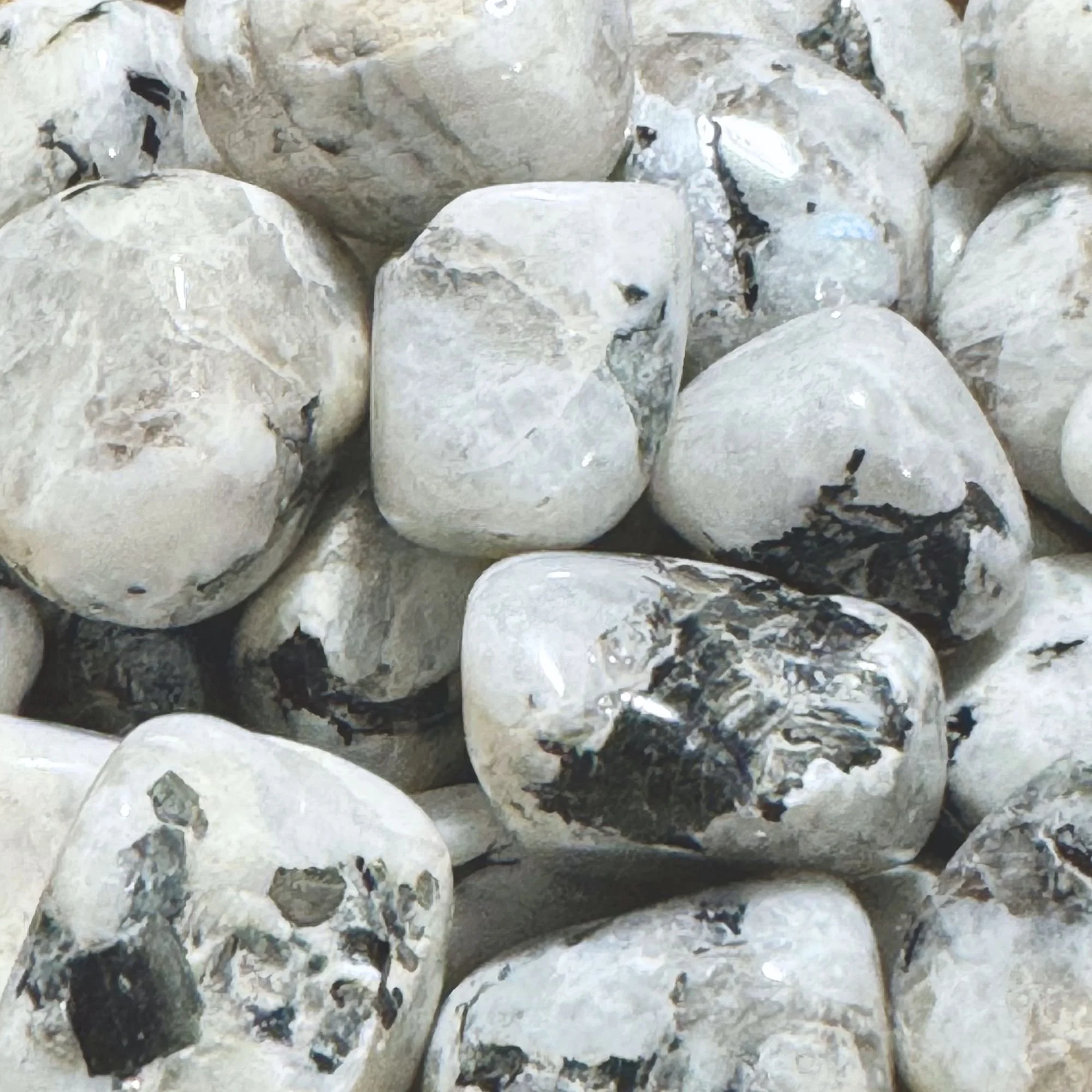 Close-Up 2.jpg